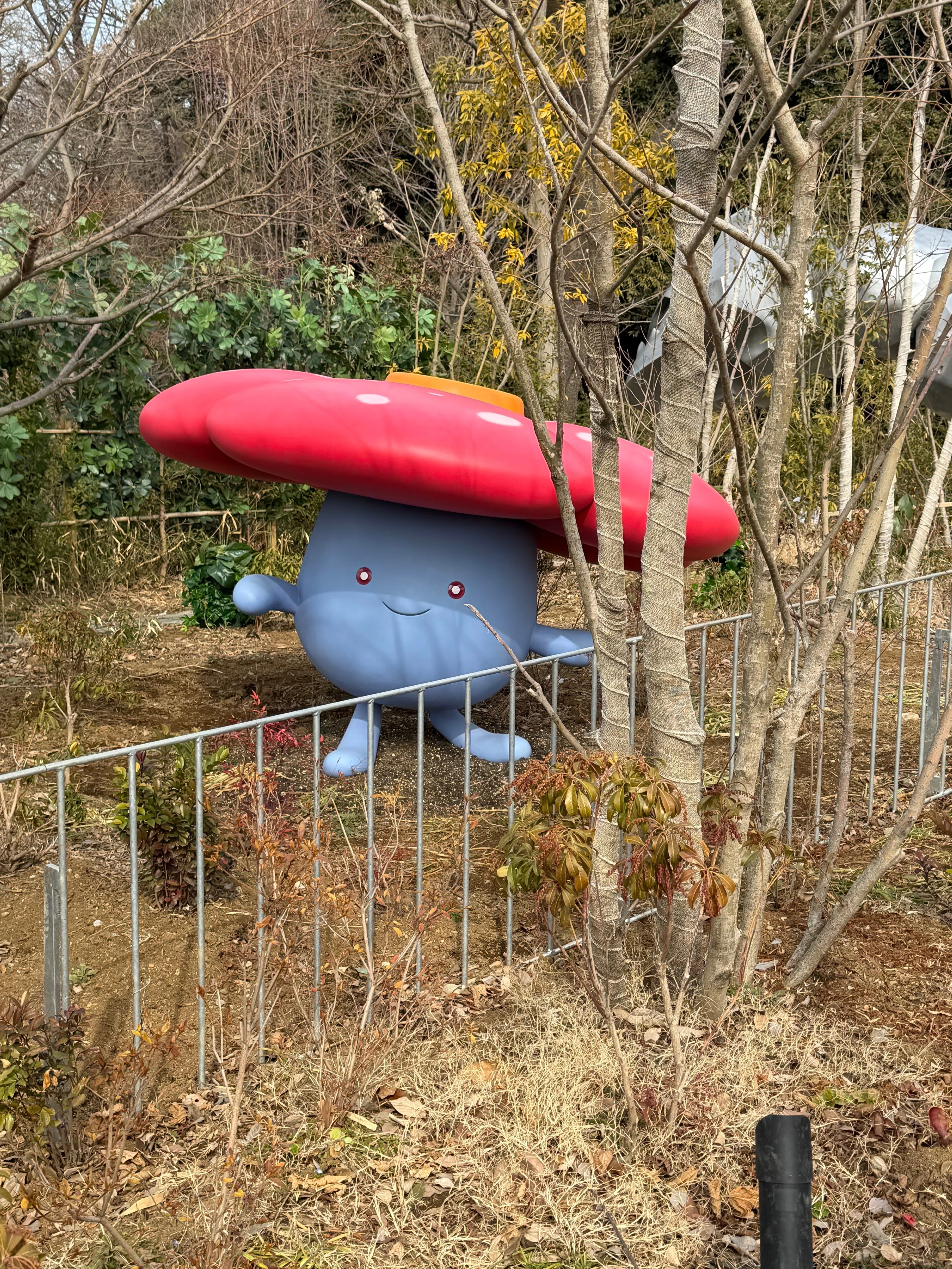 ポケパークカントー！ 2026.2.14｜ミズキ