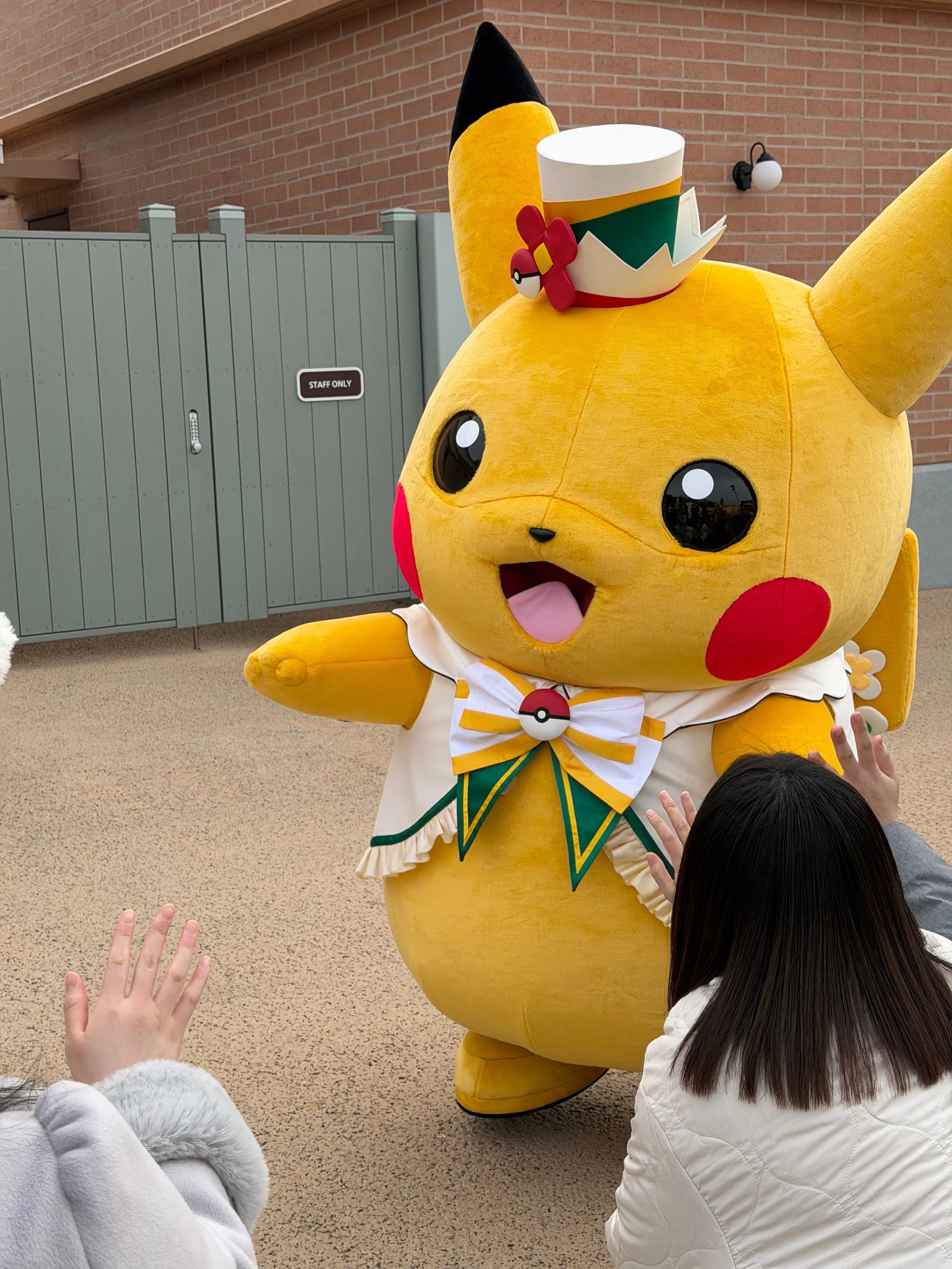 ポケモン　ぬいぐるみ　バクフーン　ポケパークカントー　202502082147 ポケモン／キミにきめた！ポケモンゲットぬいぐるみ／バクフーン