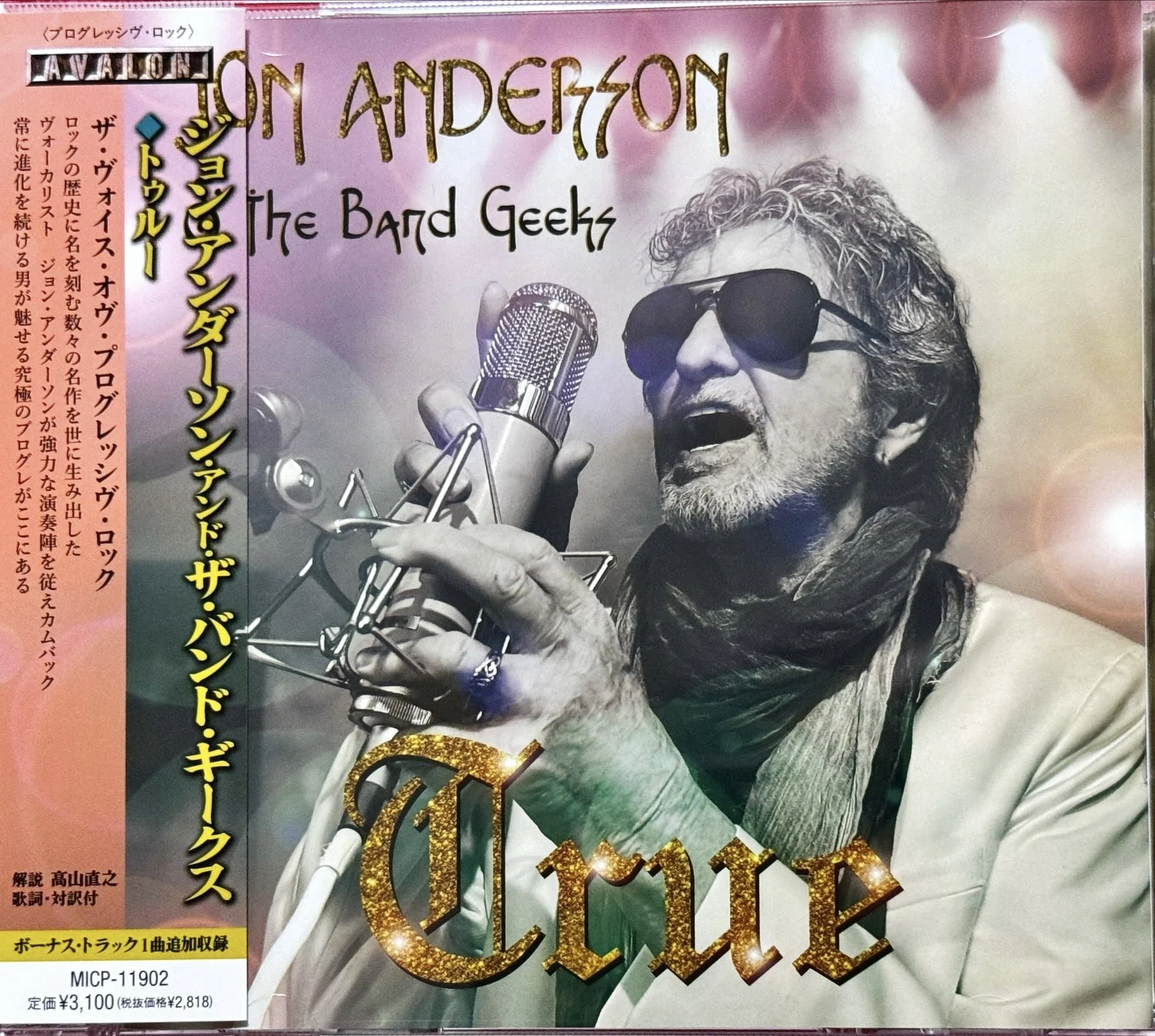 ジョン・アンダーソンとバンド・ギークス｜yffcyesheadのイエス道