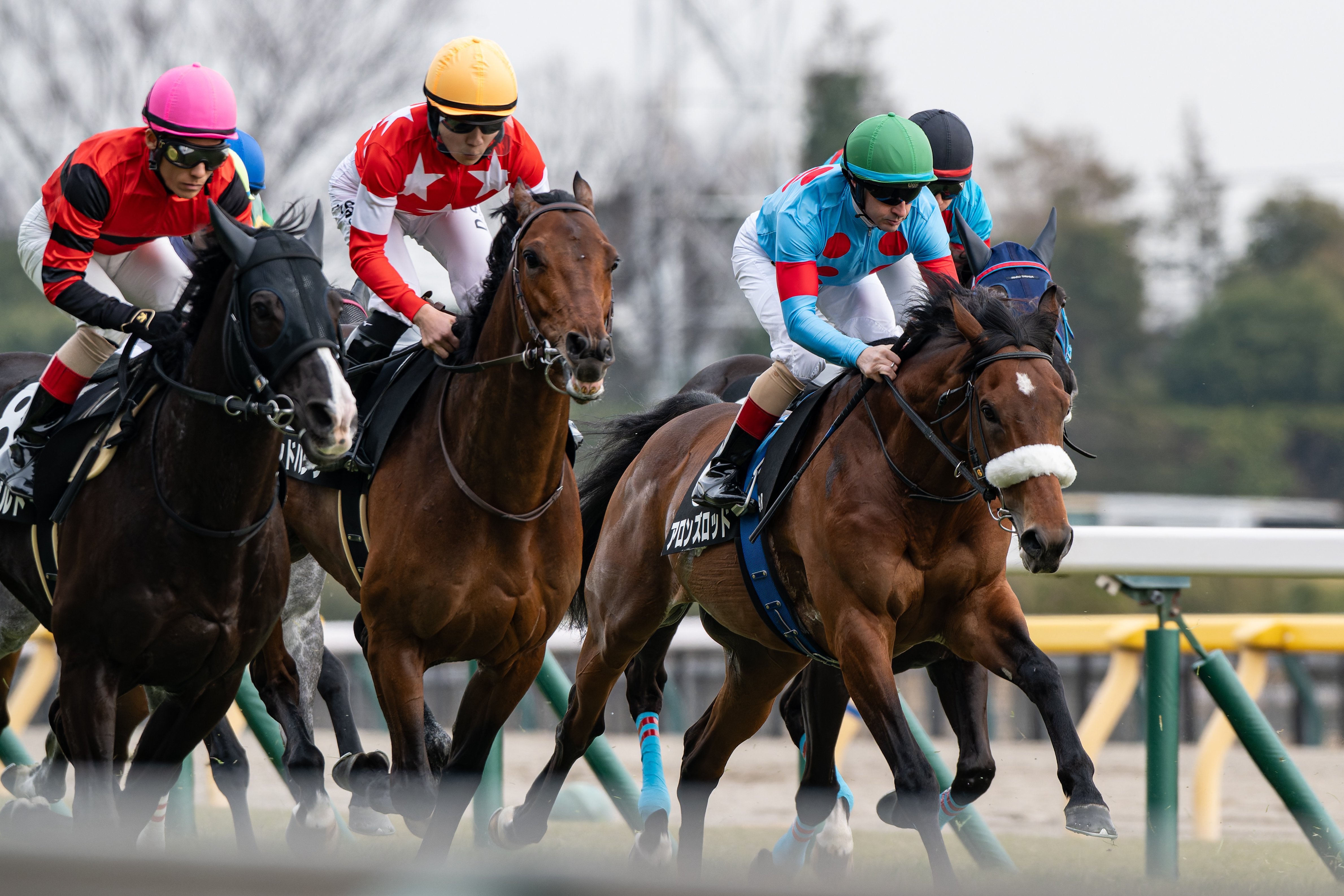 38 穏やかな日の競馬撮影｜NIKKOR Z 180-600mm f/5.6-6.3 VR