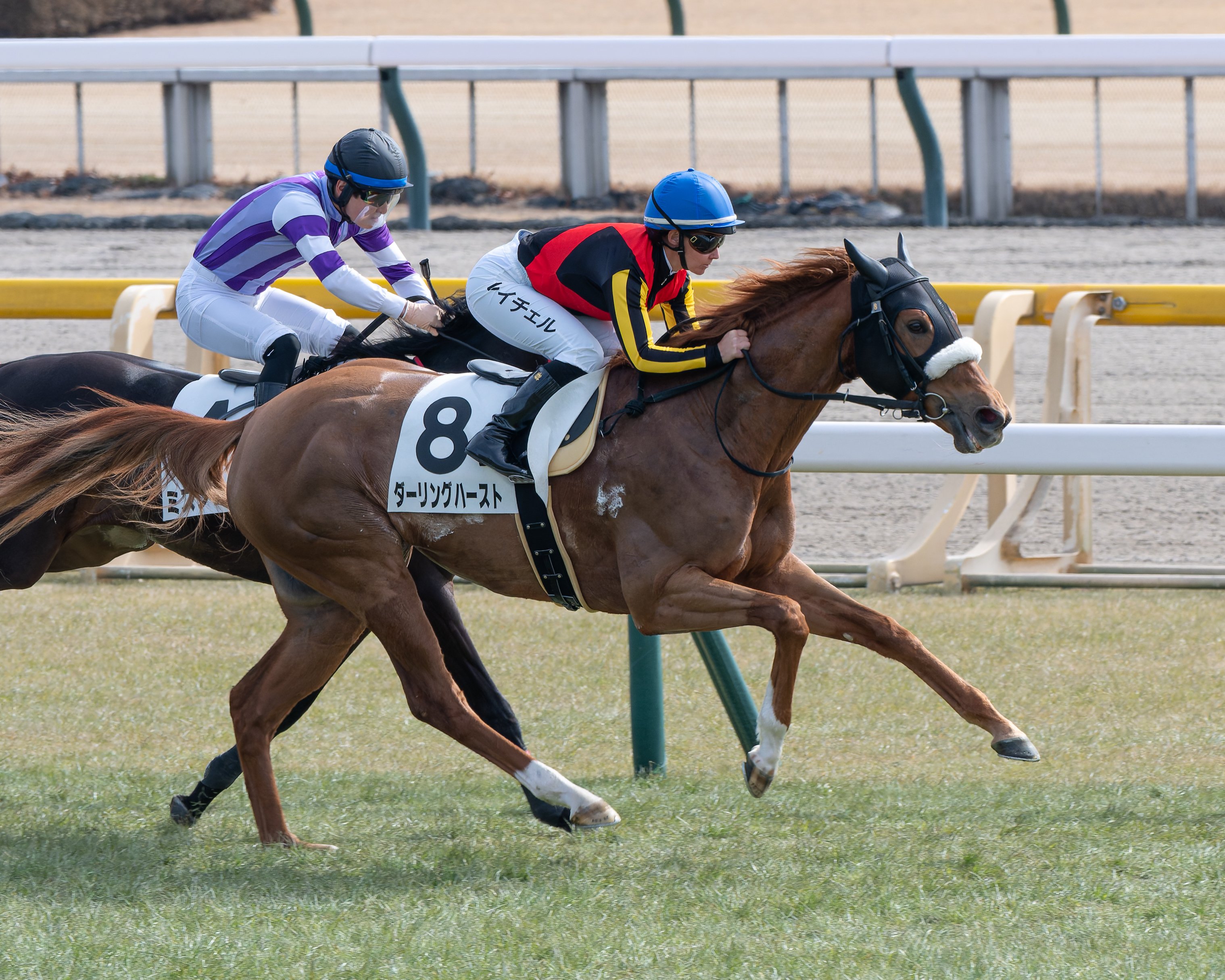 38 穏やかな日の競馬撮影｜NIKKOR Z 180-600mm f/5.6-6.3 VR