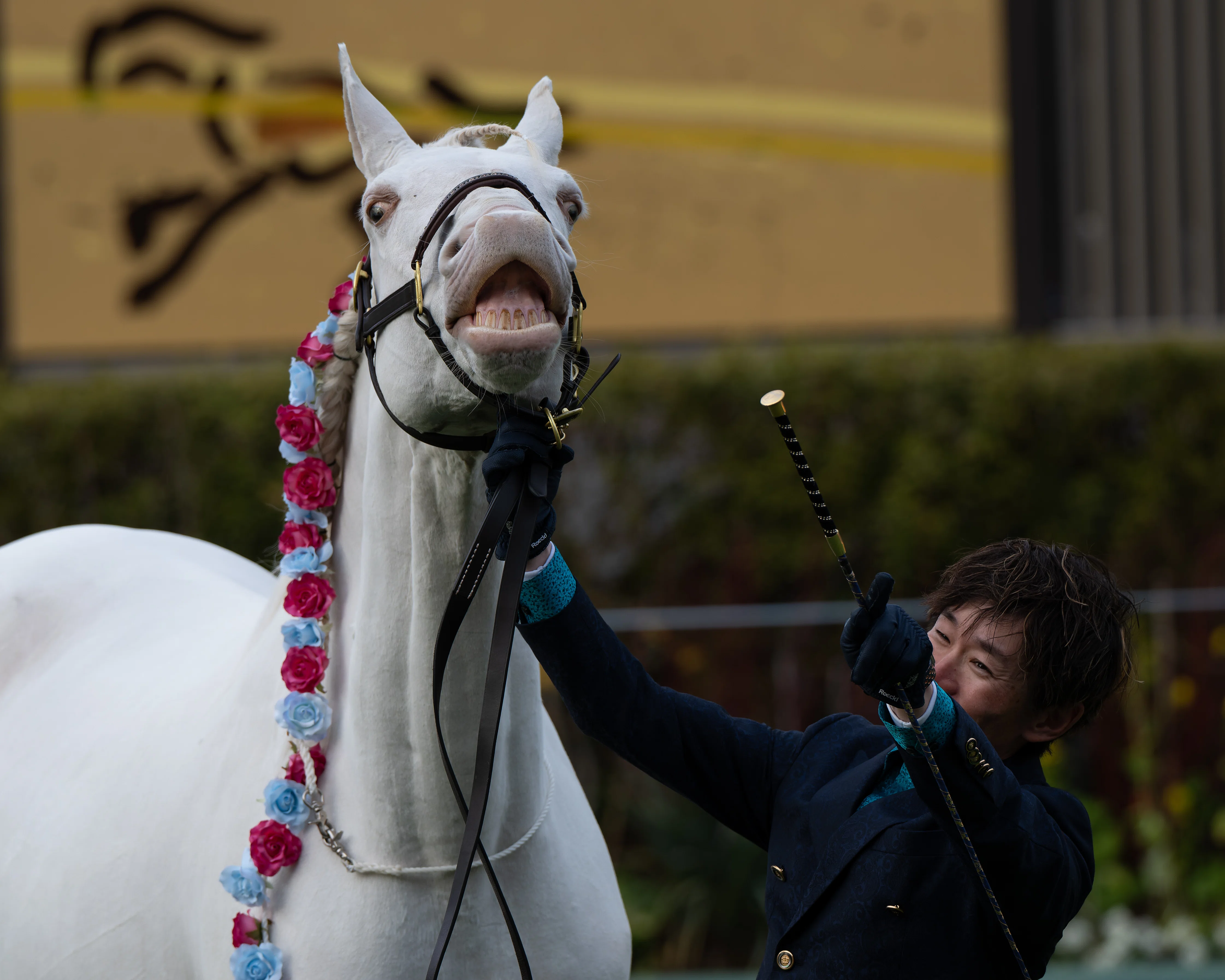 馬さん専用 38 穏やかな日の競馬撮影｜NIKKOR Z 180-600mm f/5.6-6.3 VR｜ユウキ