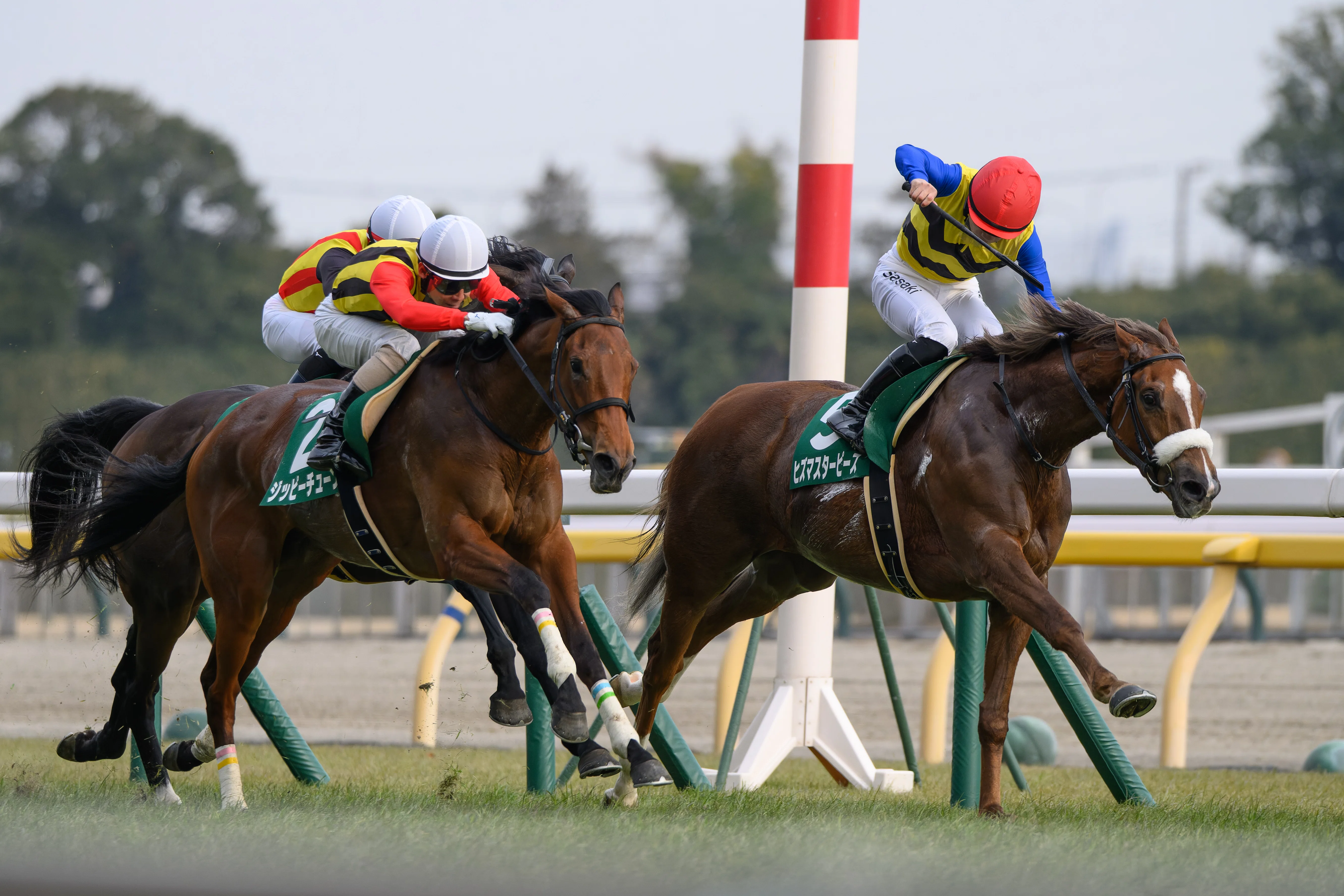 38 穏やかな日の競馬撮影｜NIKKOR Z 180-600mm f/5.6-6.3 VR｜ユウキ