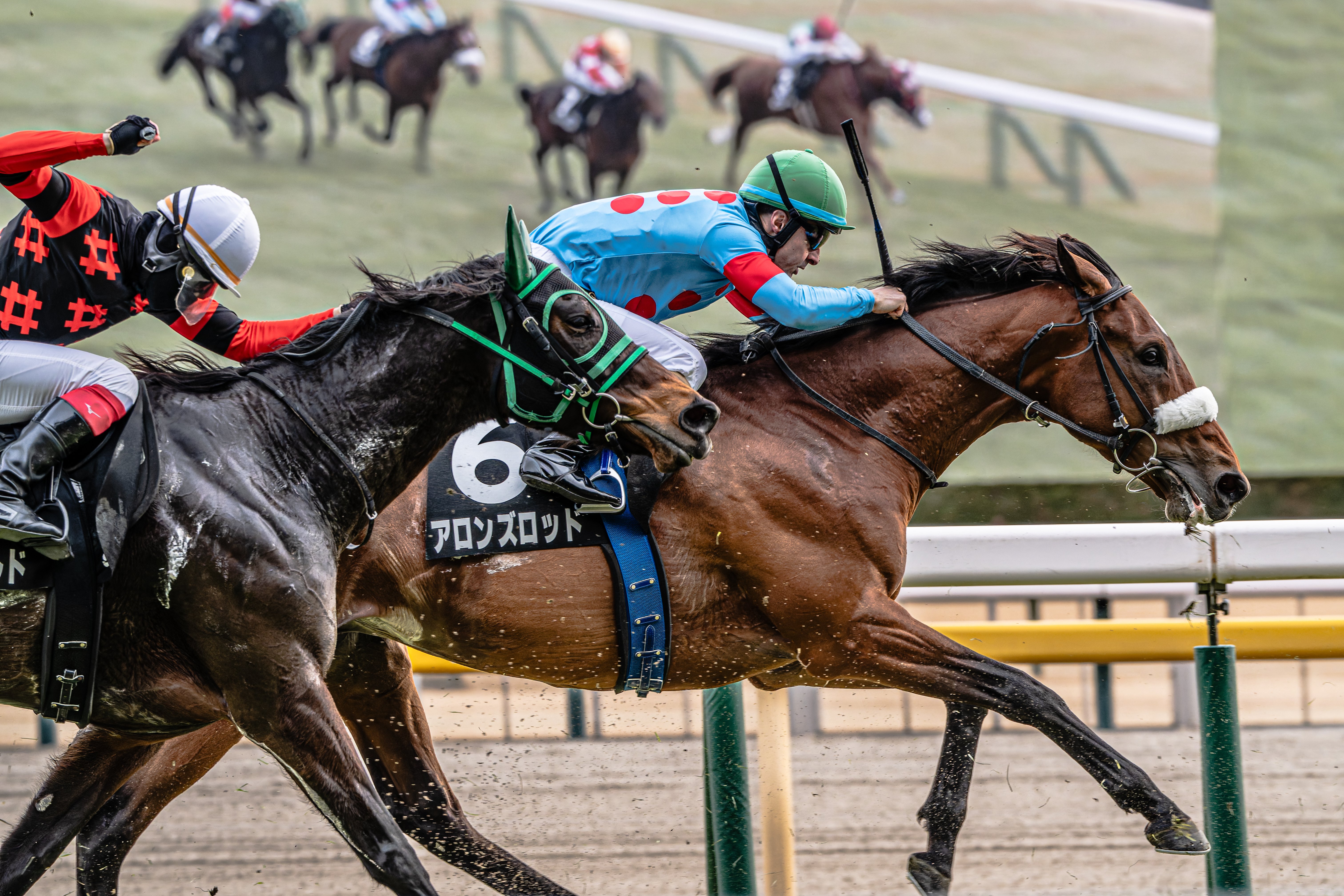 38 穏やかな日の競馬撮影｜NIKKOR Z 180-600mm f/5.6-6.3 VR