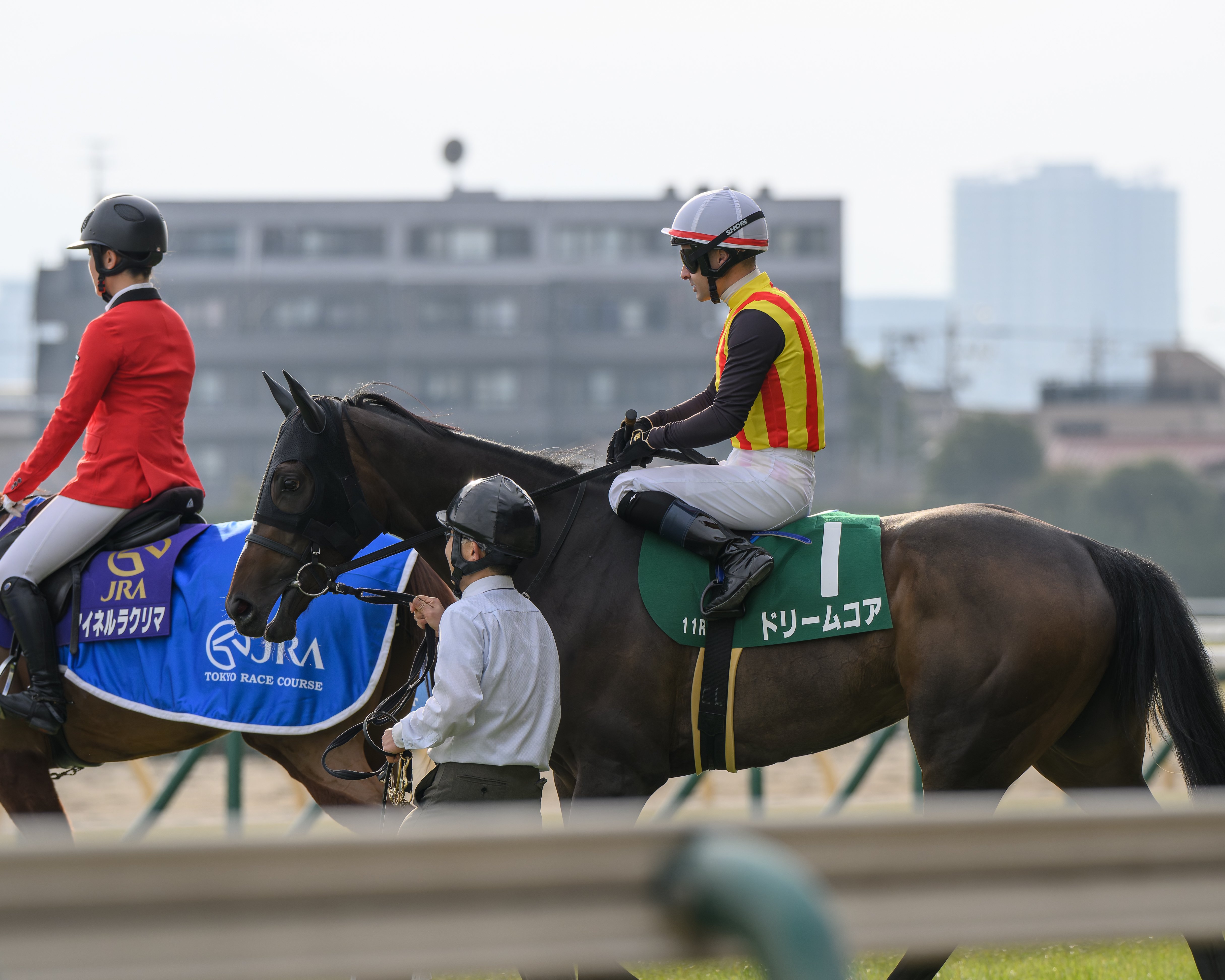 38 穏やかな日の競馬撮影｜NIKKOR Z 180-600mm f/5.6-6.3 VR