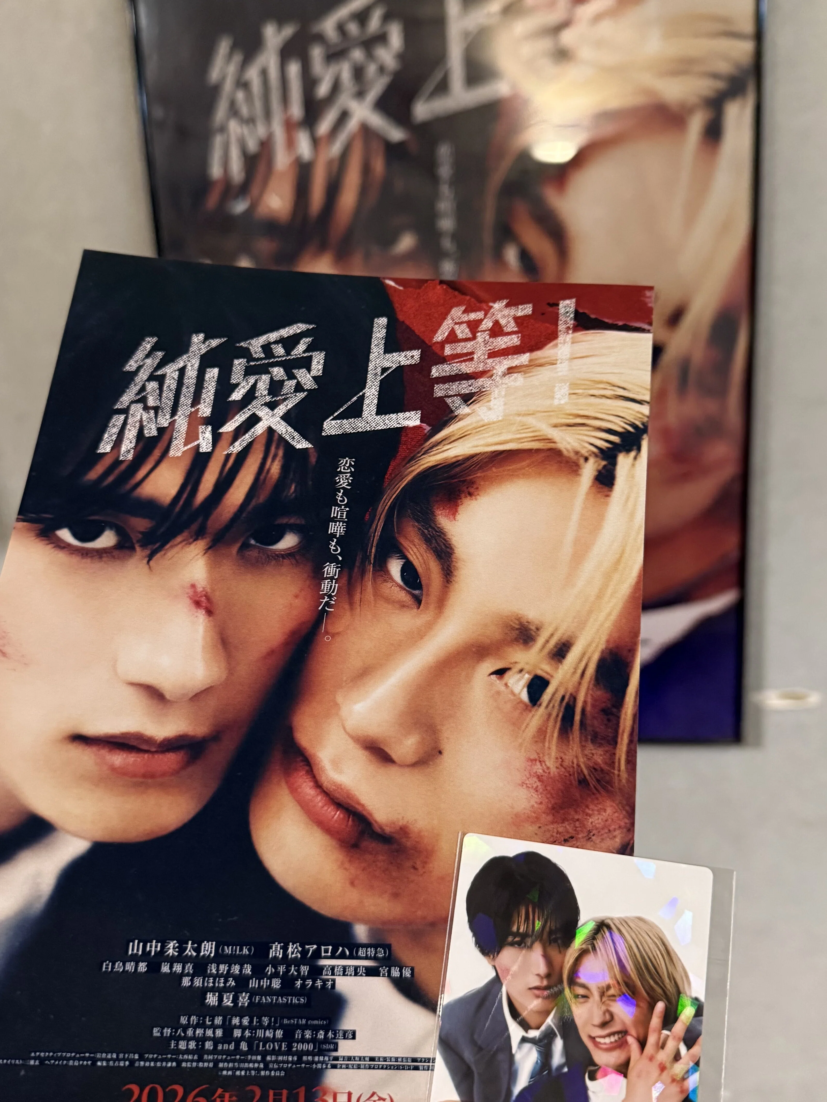 純 DVD 邦画 純愛上等！ | 2026 | 日本BL映画｜Echinops