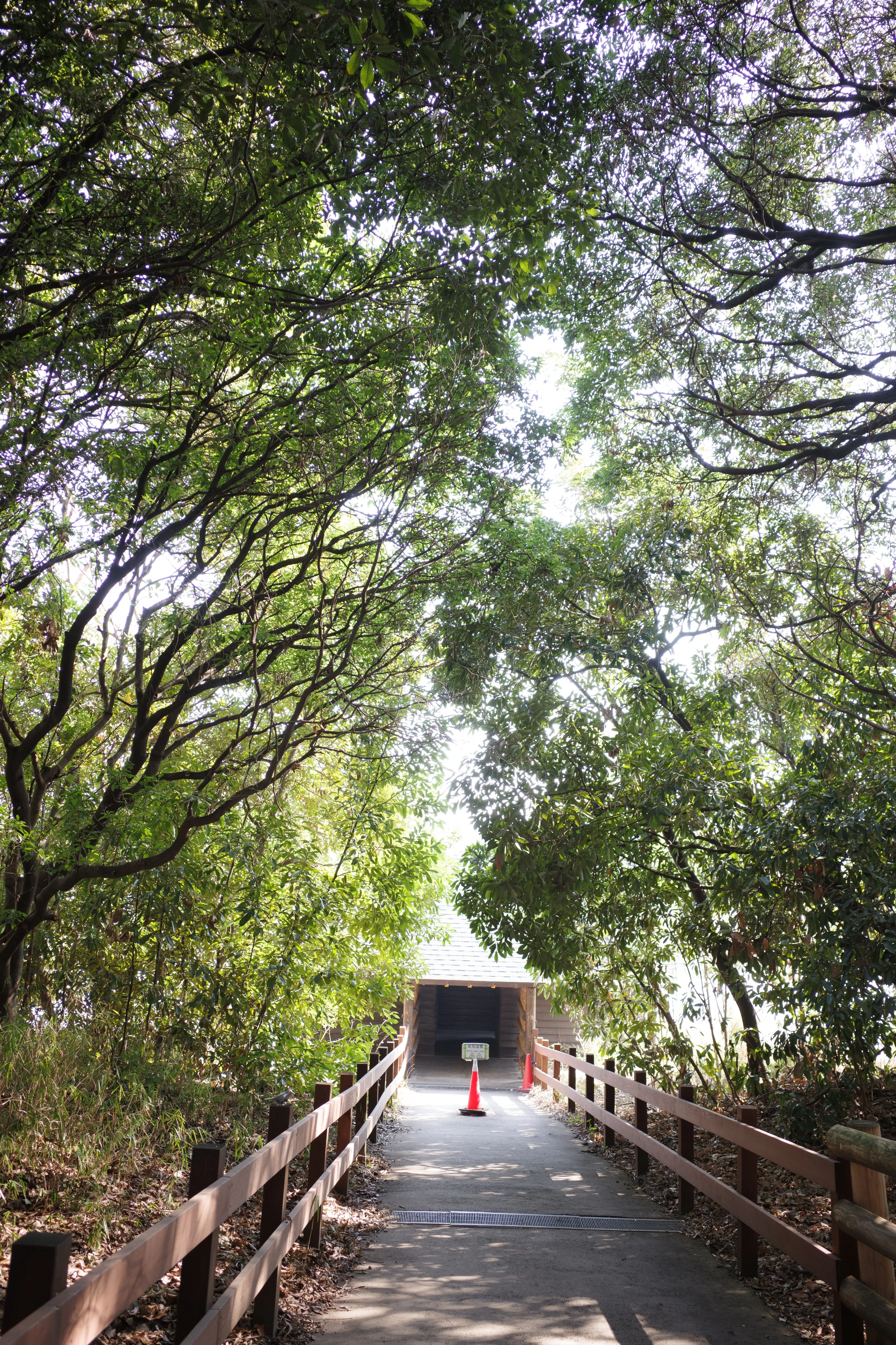 葛西臨海公園_20260215｜nakasank