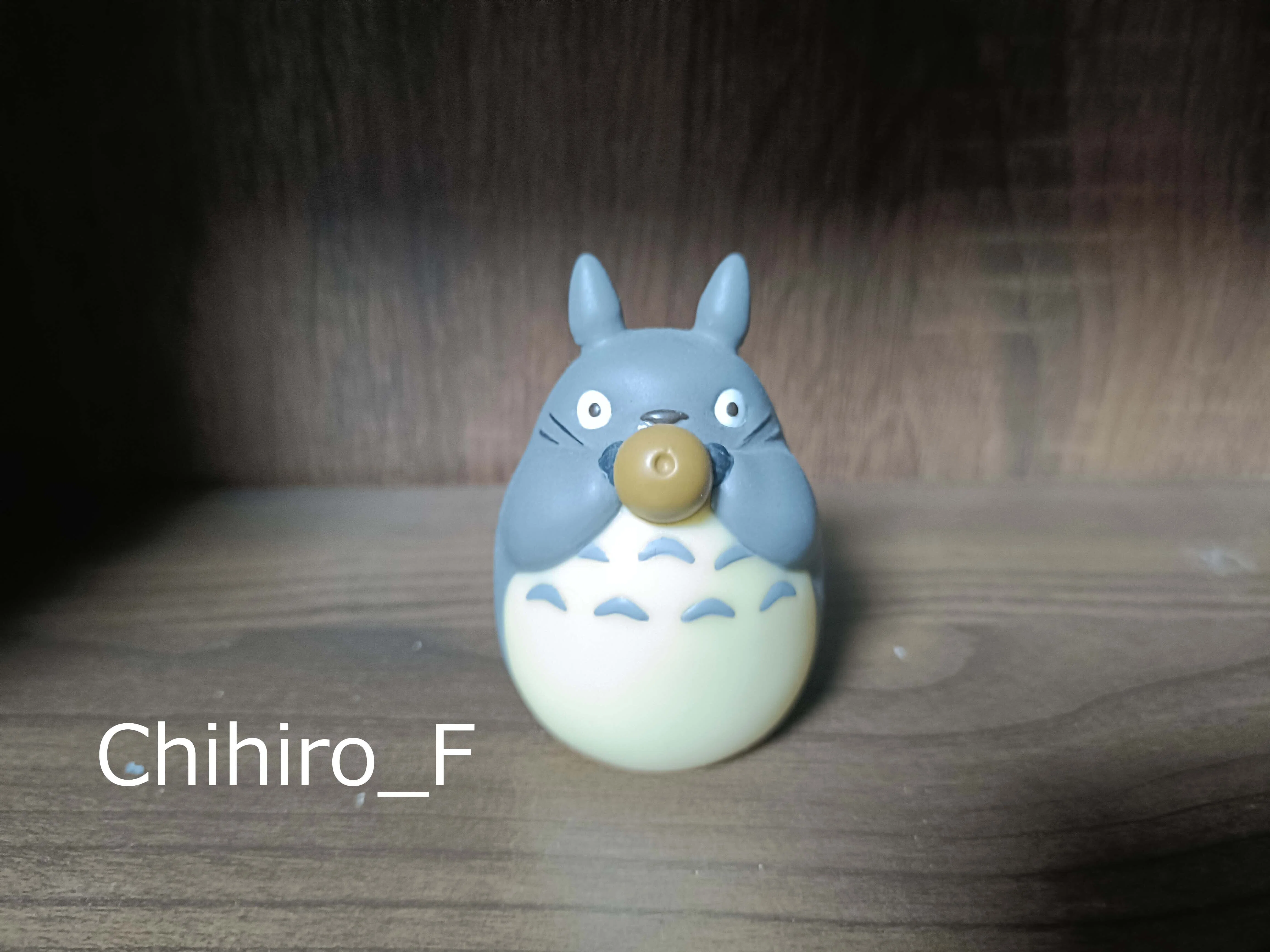 ジブリ指人形⑭その他トトロ｜Chihiro_F
