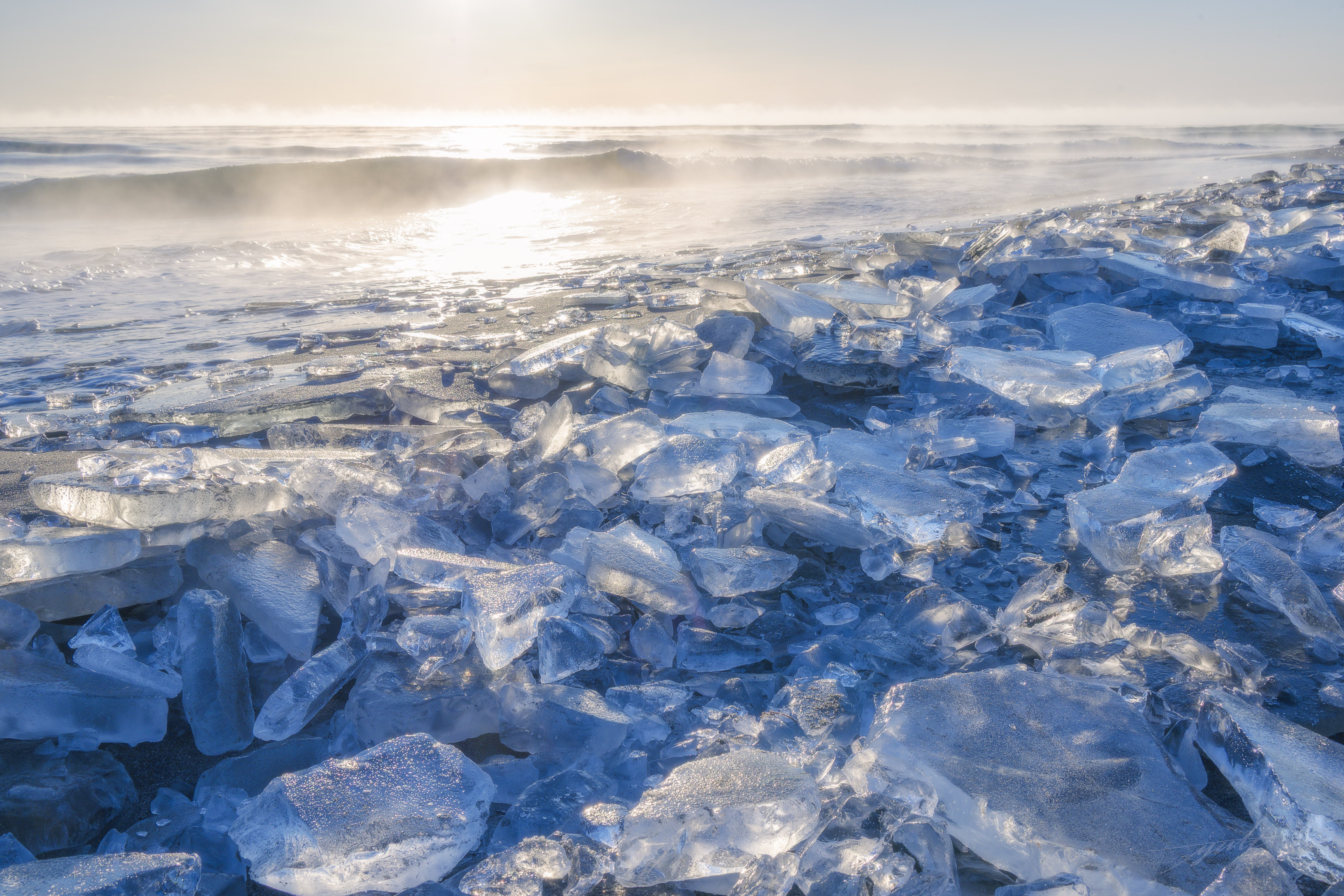 冬の十勝巡り。ハルニレの木、凍る川、そしてジュエリーアイス｜Yuto