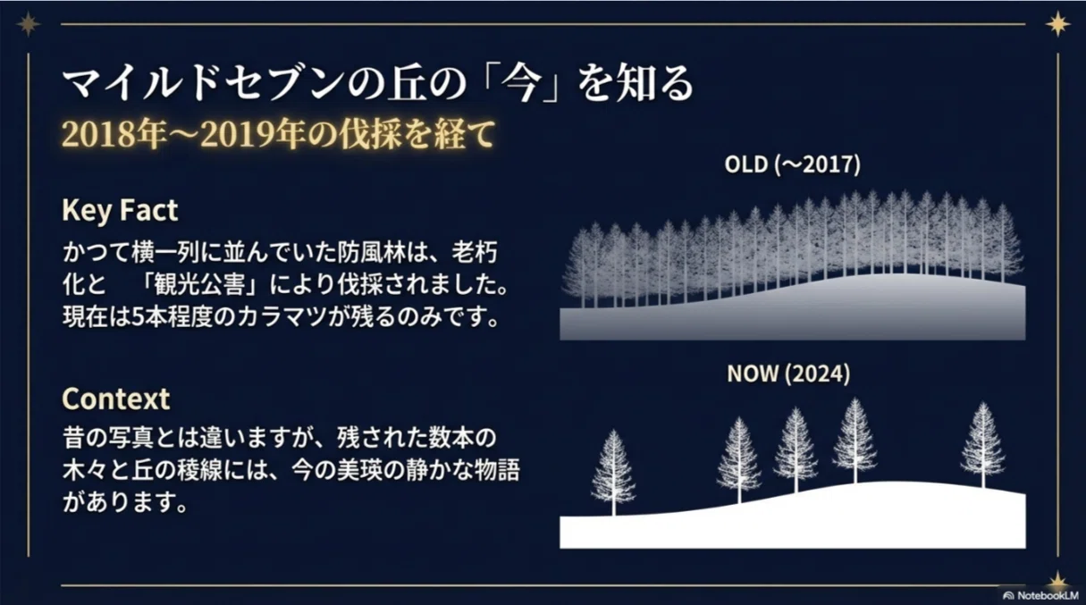マイルドセブンの丘の星空ガイド！伐採後の現在や天の川の時期を解説