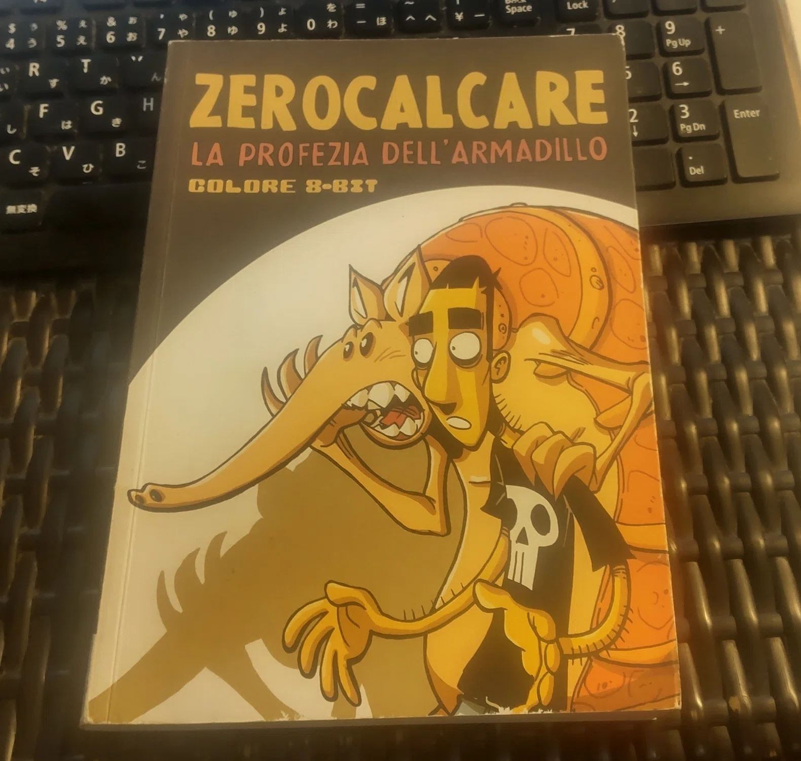 アルマジロの予言』｜二宮大輔