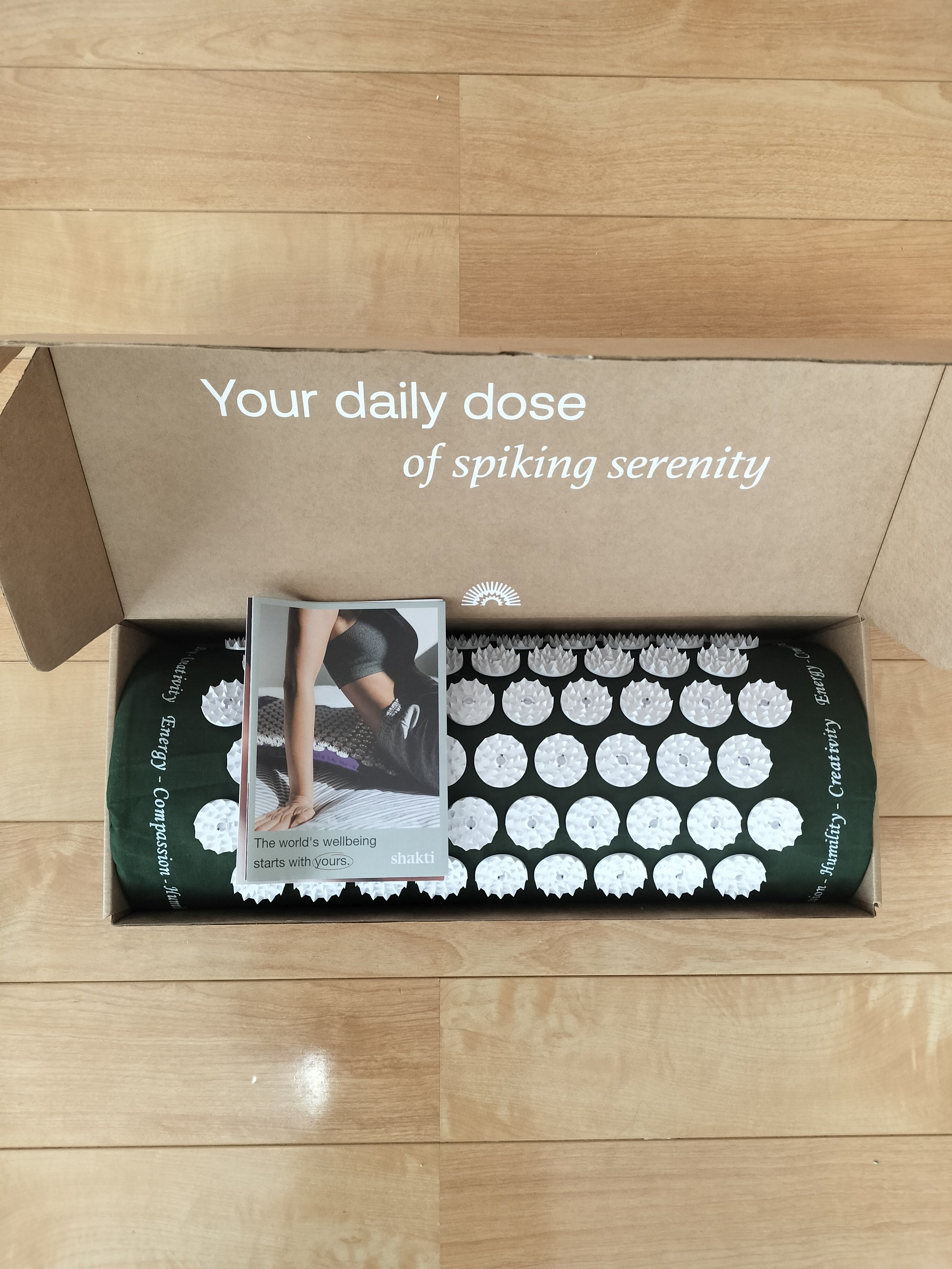 シャクティ枕を買ってみた！｜リフレッシュしたいけどできない日々の中