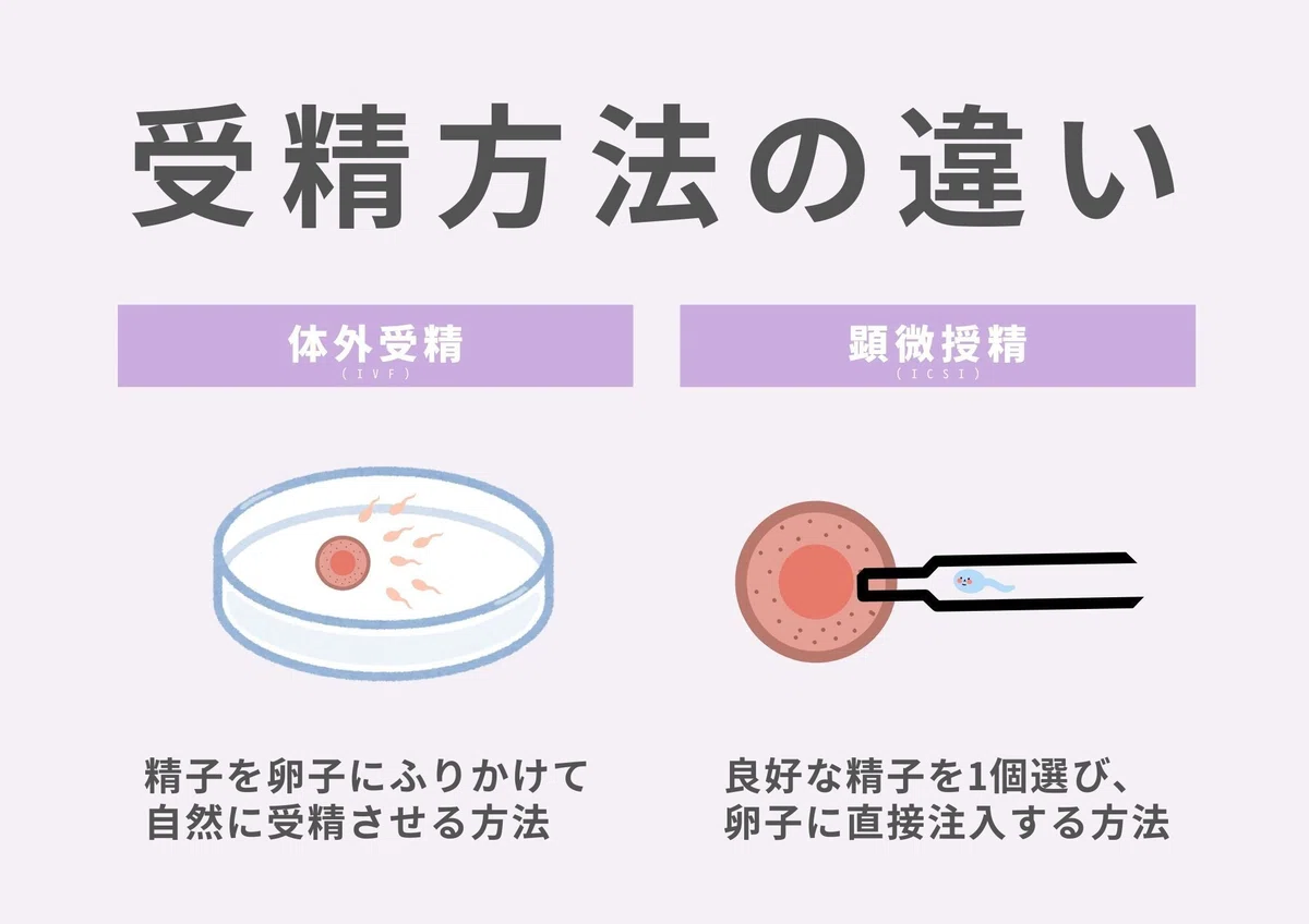 『体外受精で子供の障害リスクは高まる?』|胚培養士が回答💡|不妊治療|六本木レディースクリニック池袋院