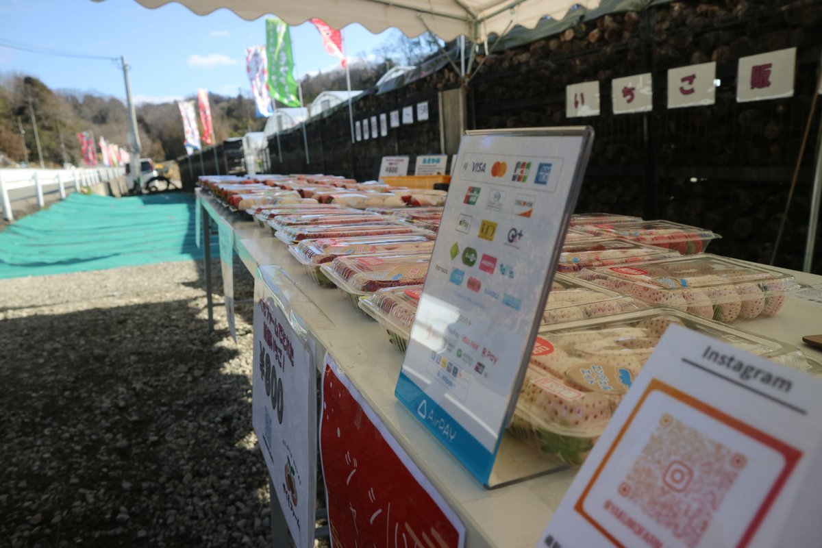 「直売所の販売について」— 仮設テントで営業中です 🍓 —