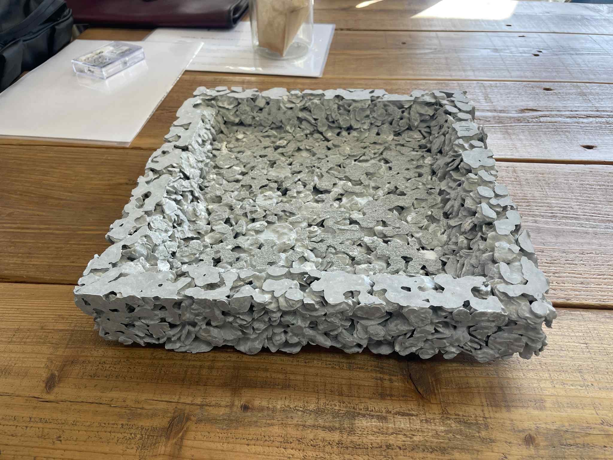 海の未来を、現場から考える。｜フウドプロジェクト