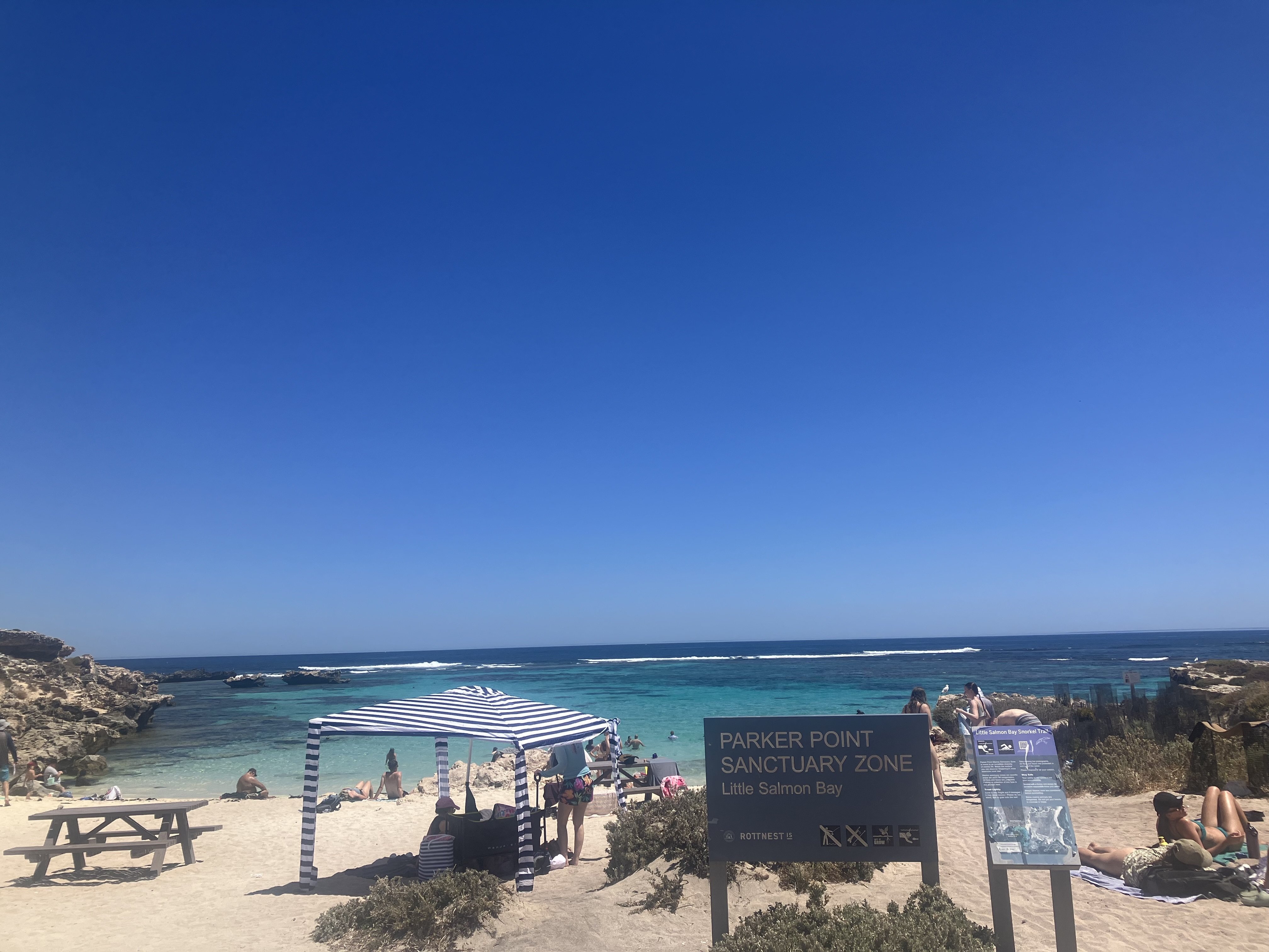 パース旅行② 念願のロットネスト島でクオッカと対面編｜旅好きにゃんこ