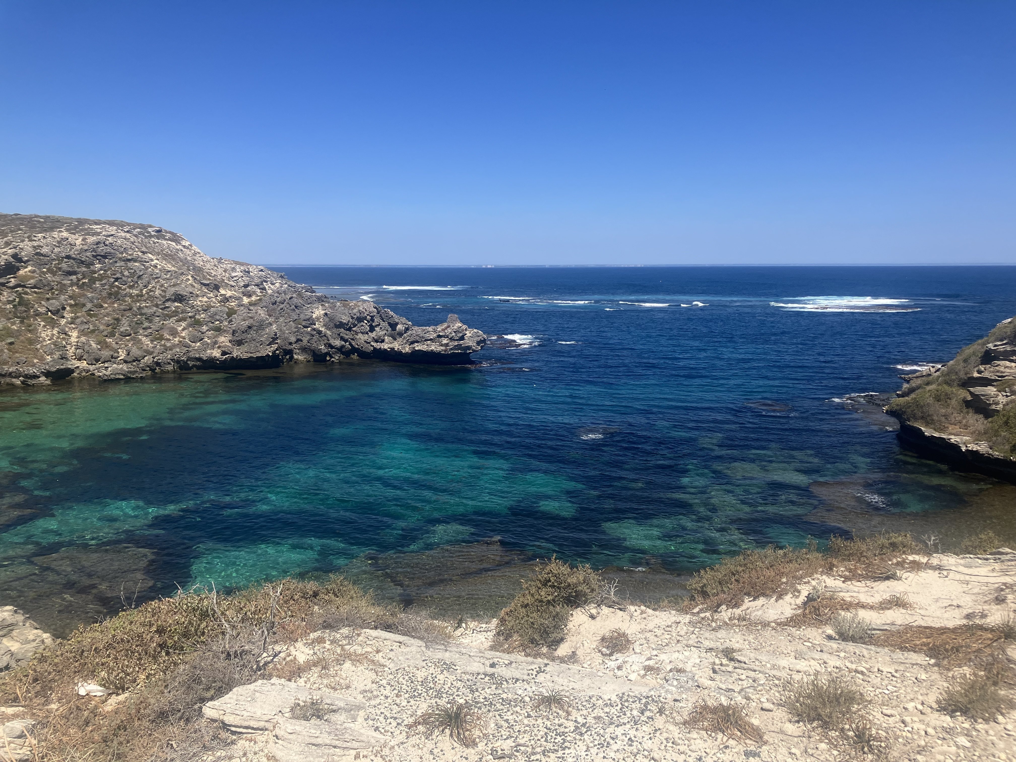 パース旅行② 念願のロットネスト島でクオッカと対面編｜旅好きにゃんこ