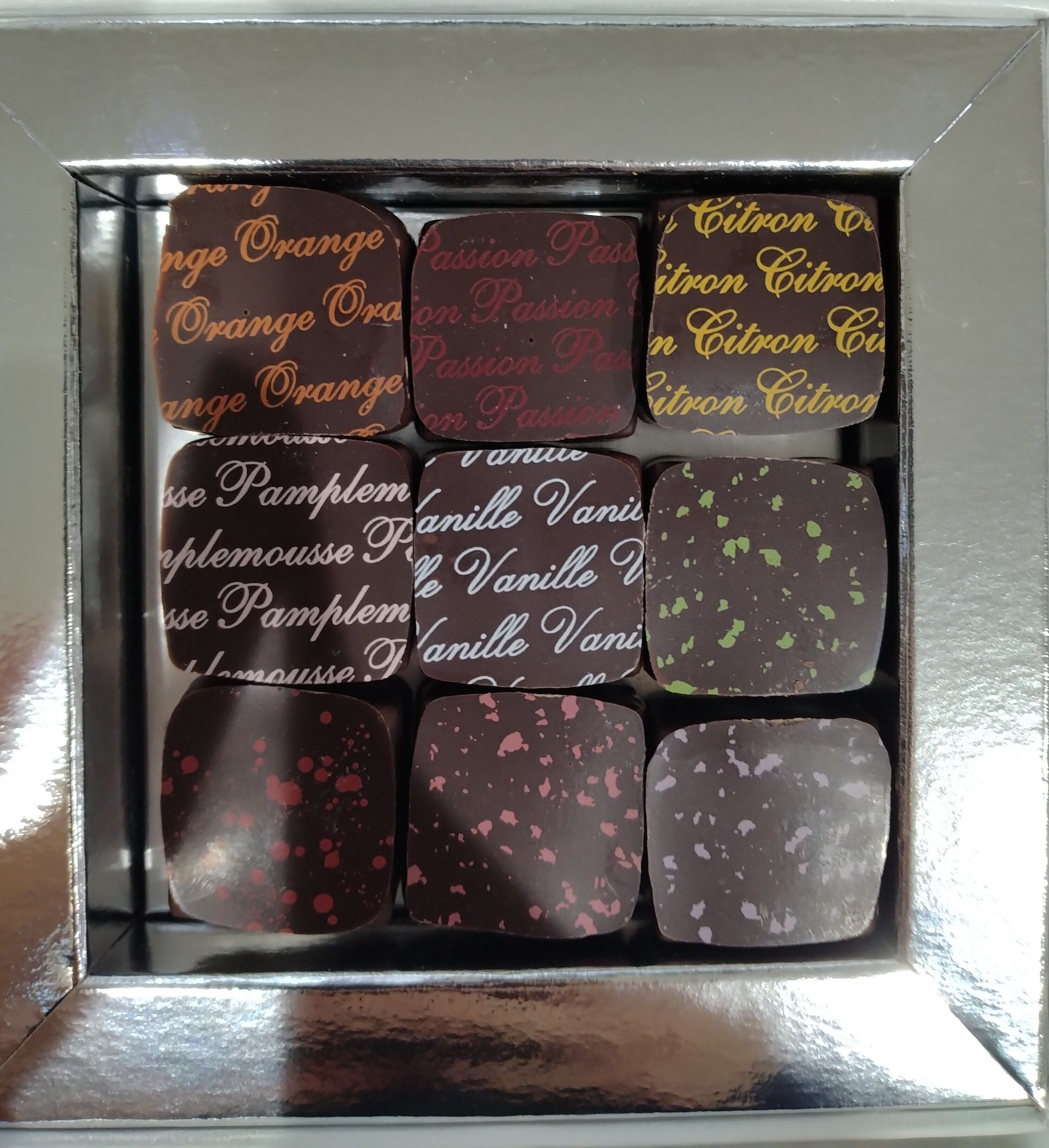 チョコ】 クリスティーヌ・フェルベール(2/17〜)｜サバトラ