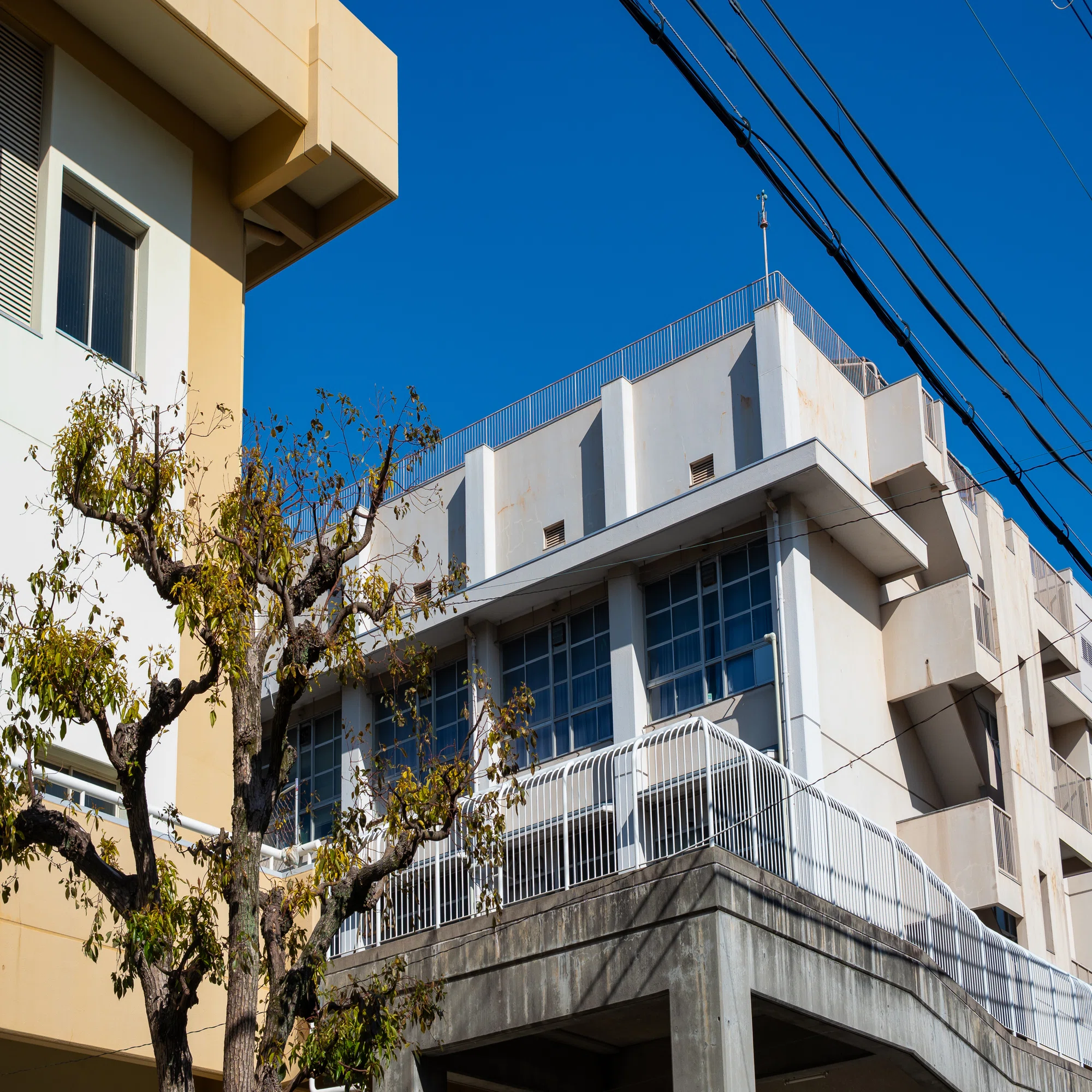 大阪 府立 大正 白 稜 高等 学校
