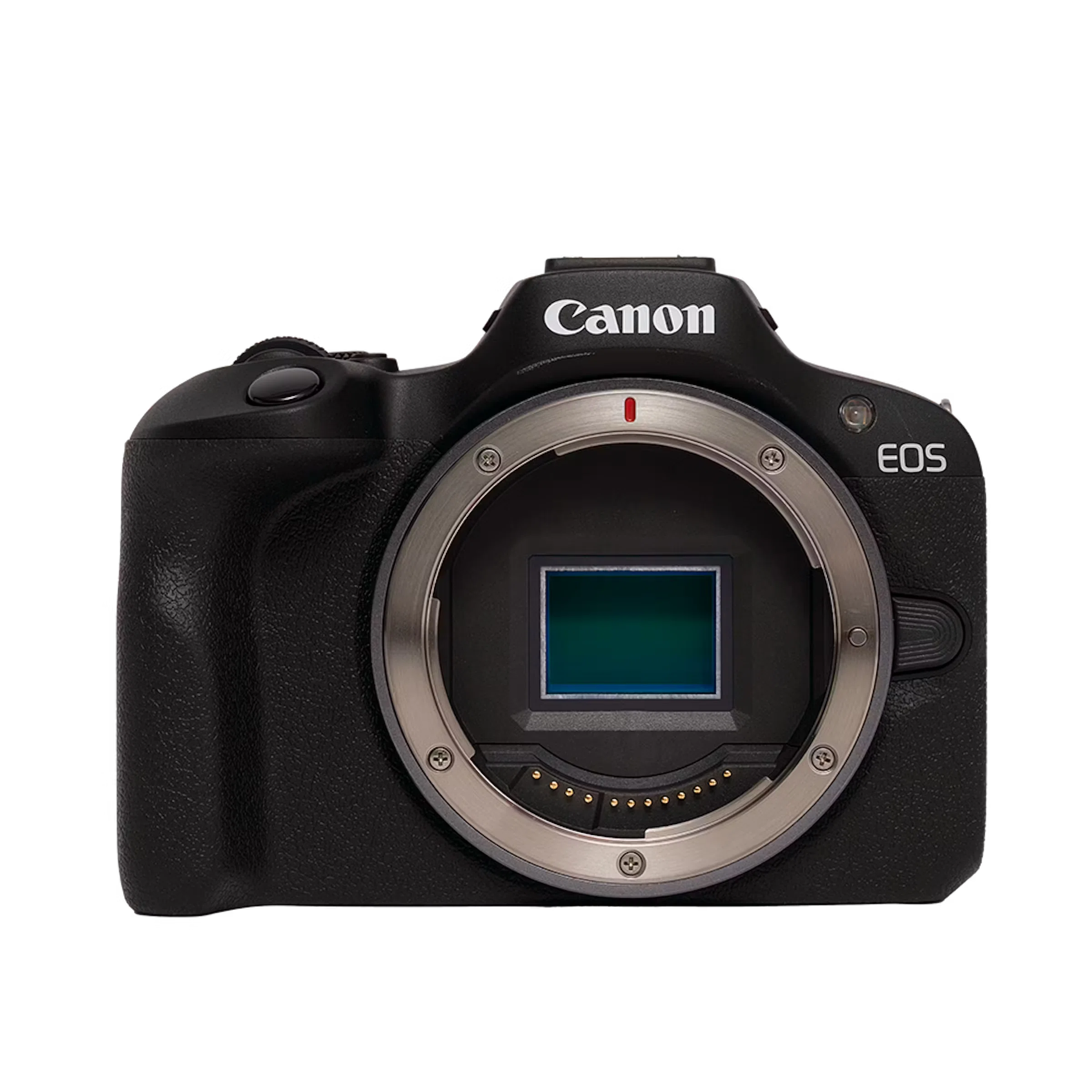 1600まで見える！？Canonミラーレスカメラをお持ちの方におすすめ！サポート Canon初心者向けカメラおすすめ5選！ミラーレスがおすすめな理由と失敗