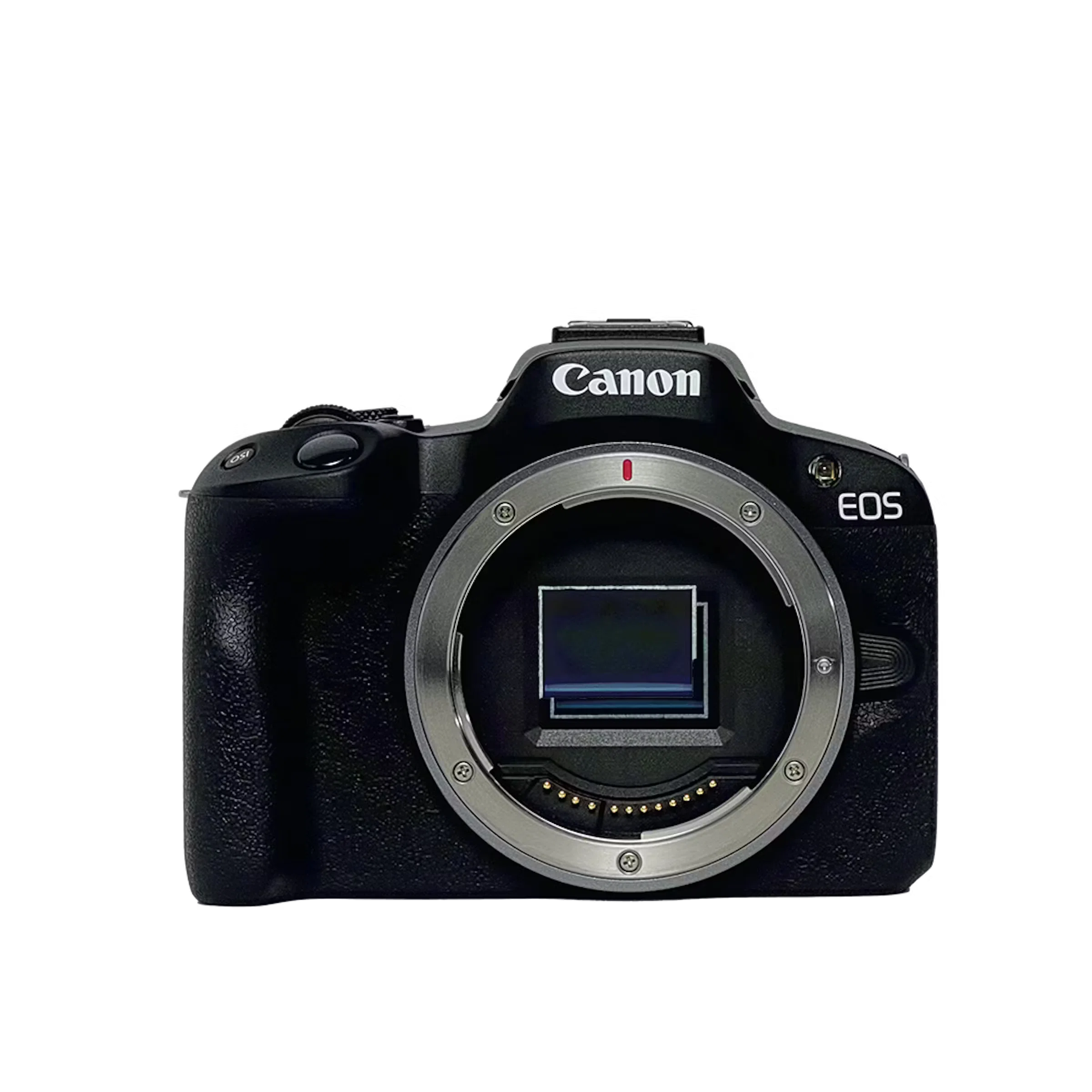 Canon Kiss X2 望遠 28-105mm 初心者向け すぐ使えるセット