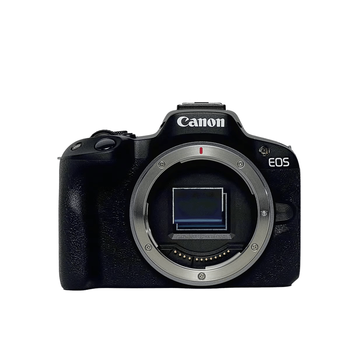 Canon初心者向けカメラおすすめ5選！ミラーレスがおすすめな理由と失敗