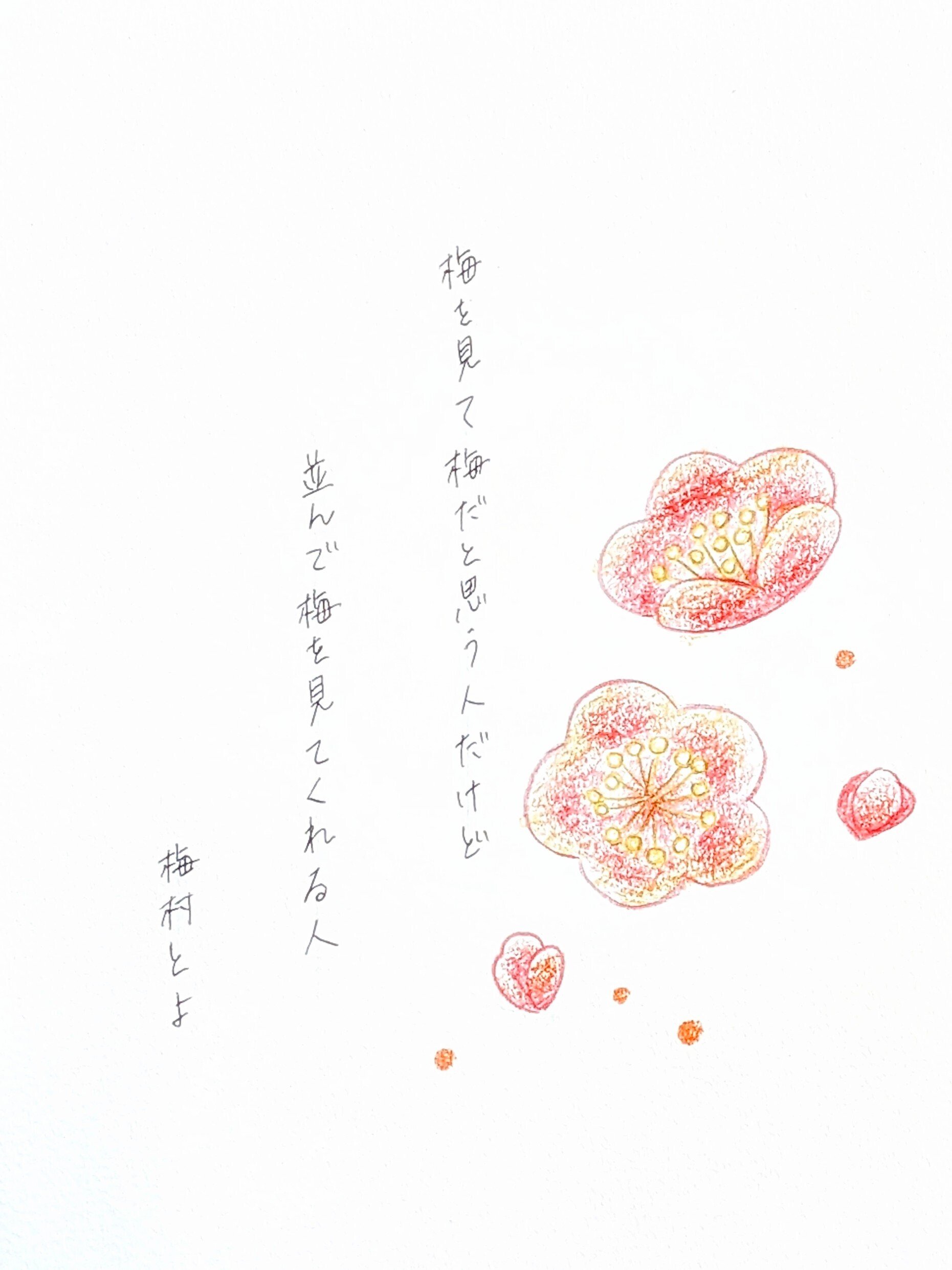 短歌:梅を見て梅だと思う人だけど｜梅村とよ｜短歌と色鉛筆と水彩