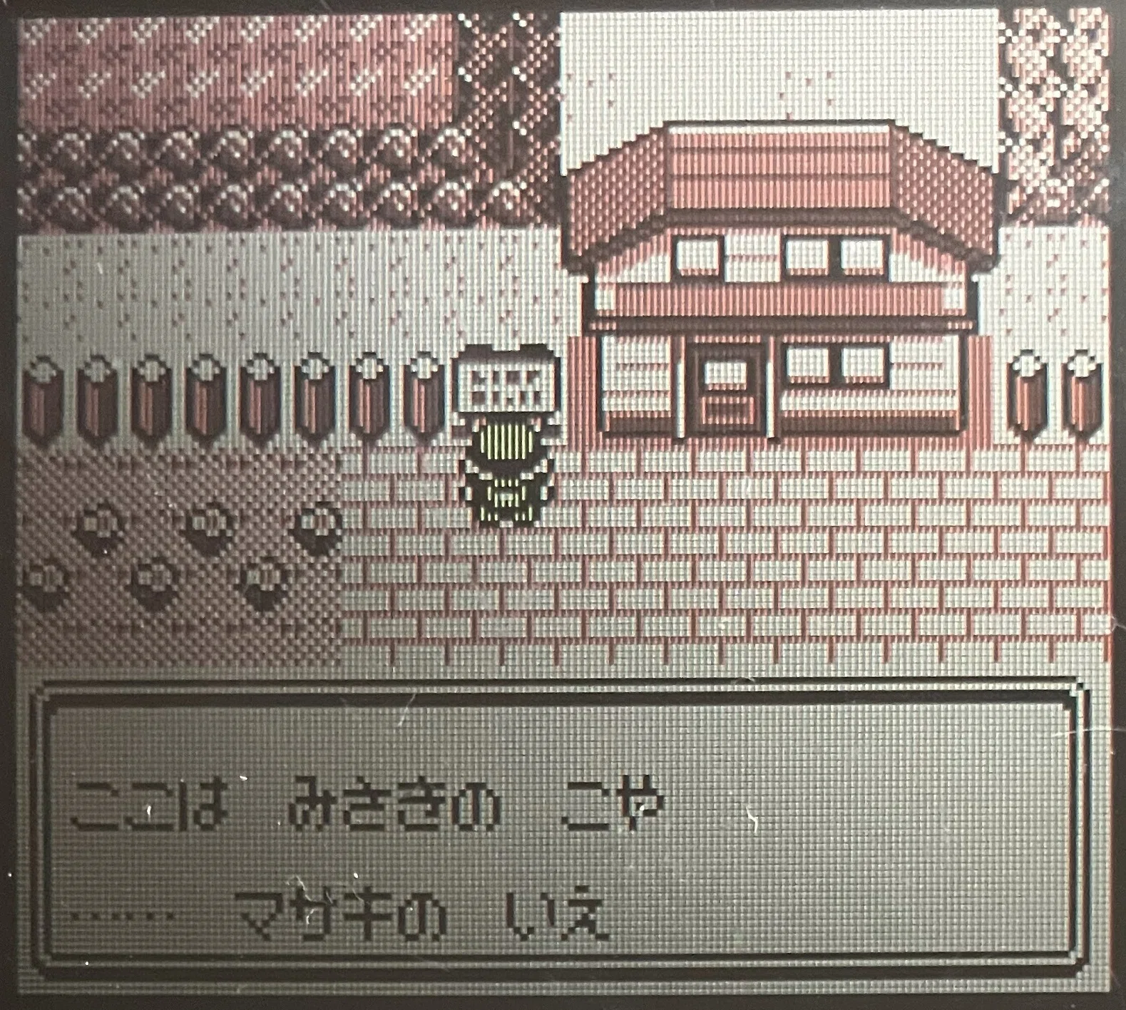 みさきのこや」でマサキそっちのけで、ブイズをじっくり堪能する｜平成