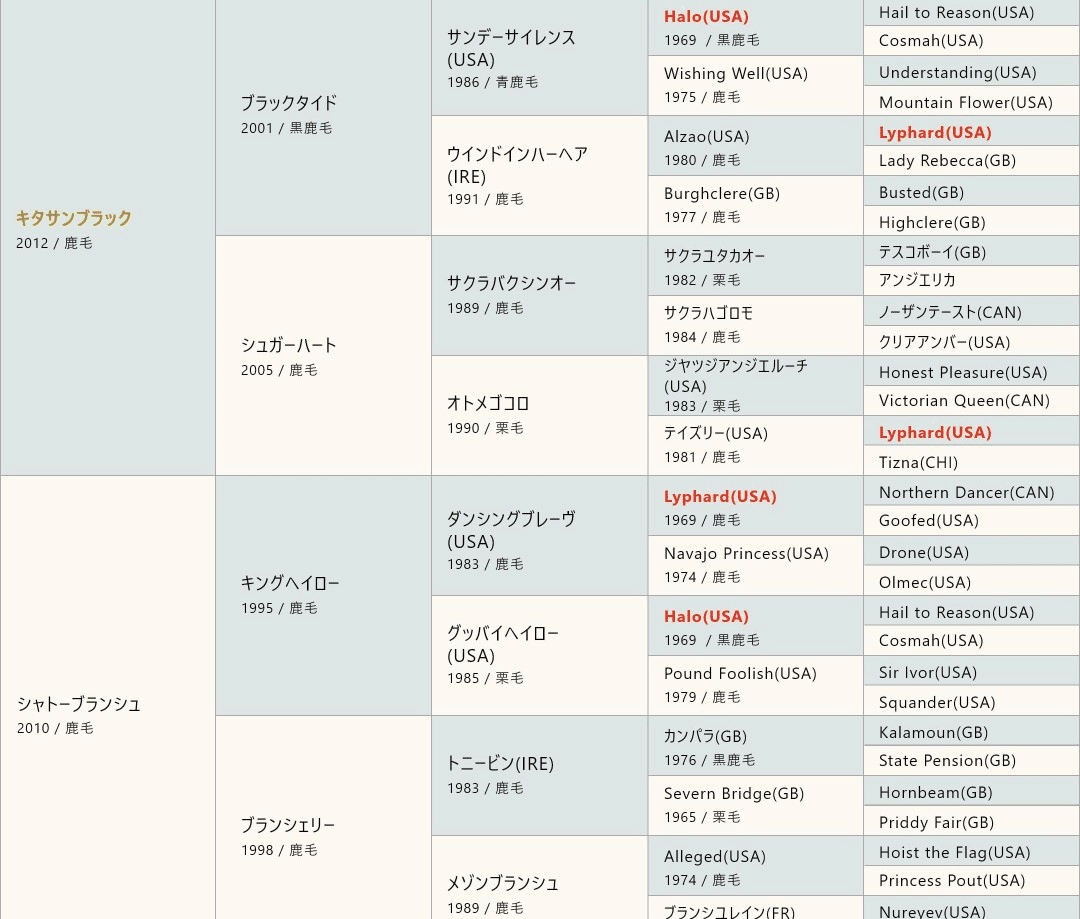 サラブレッド血統遺伝子｜SHOUHEI
