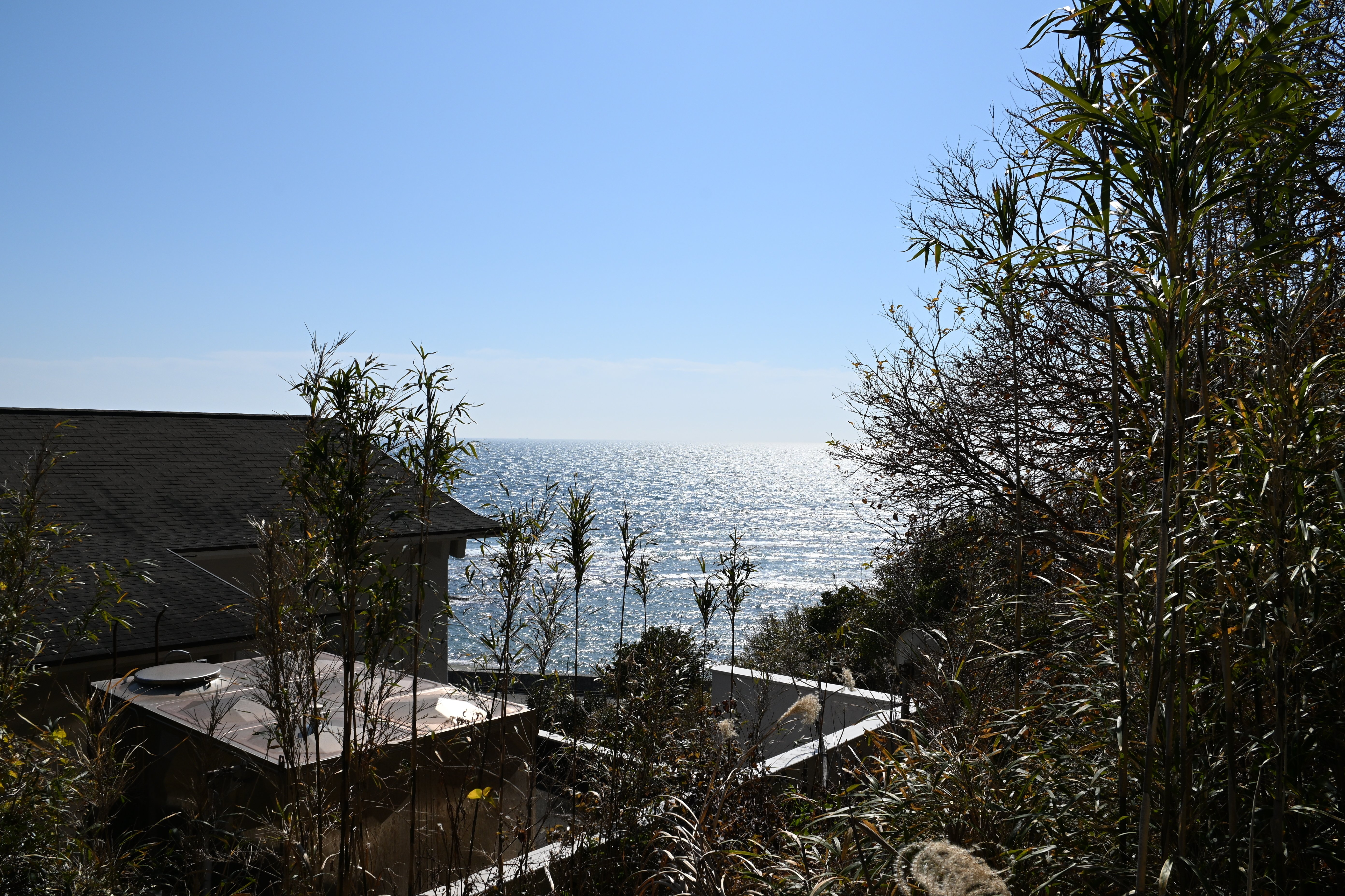 20260215_御前埼灯台【Nikon Z50IIと観光】｜山ネズミ