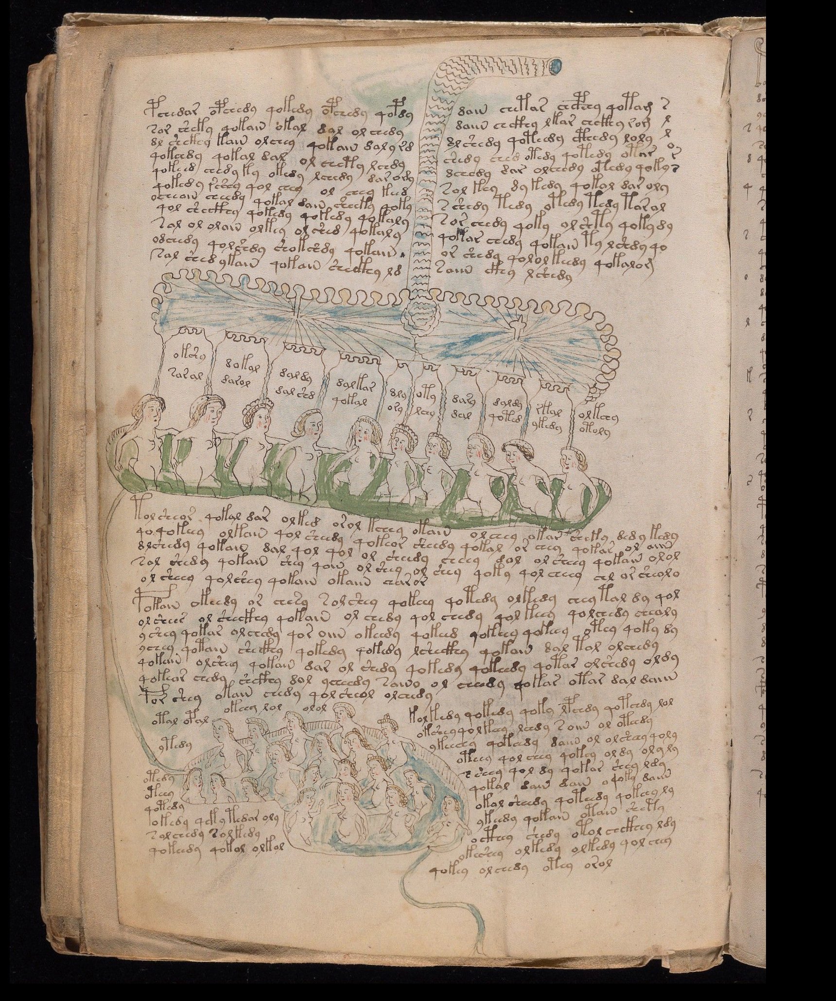 AIも解読できてない古文書「ヴォイニッチ手稿」の謎・文書公開｜日本