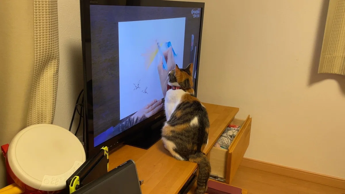 画像
