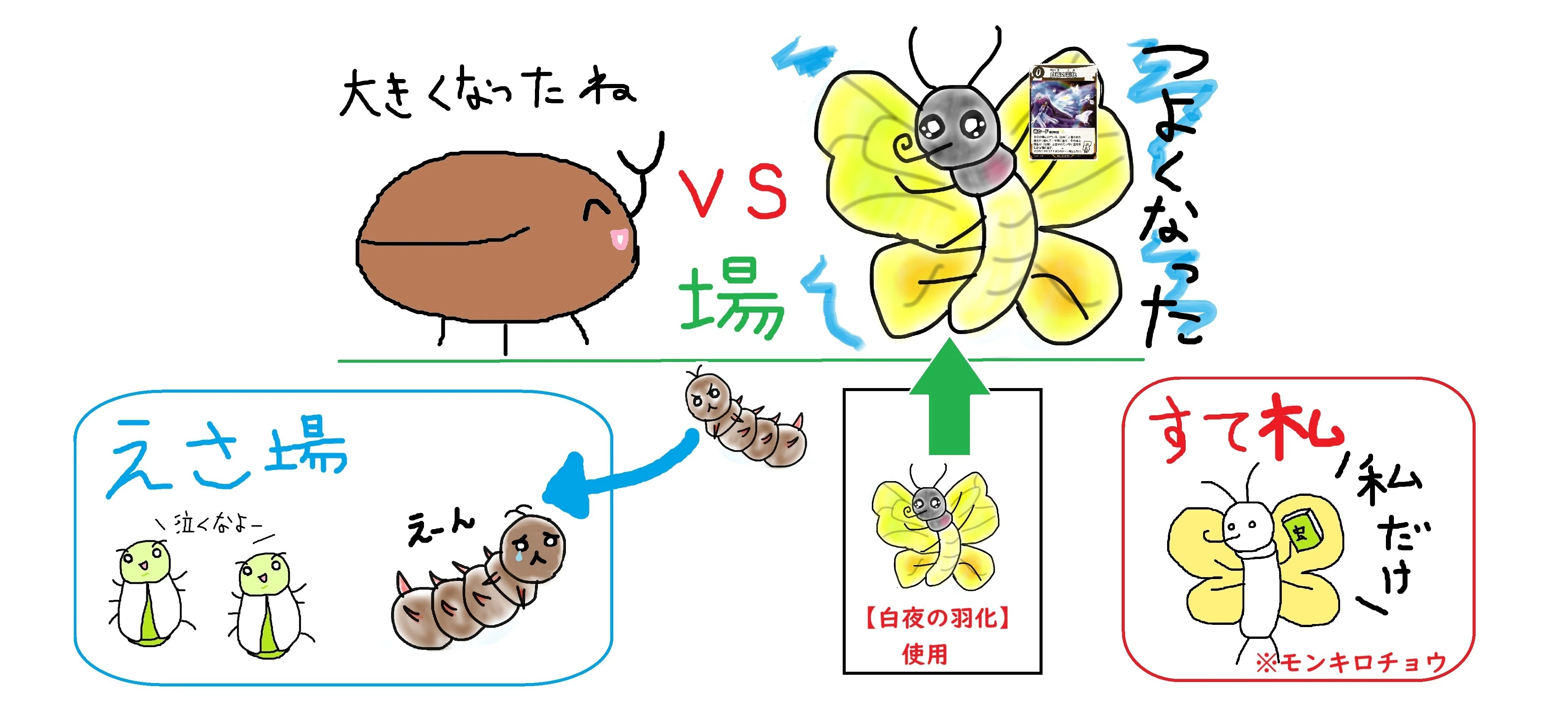 ゴクラクトリバネアゲハが好き｜九日（このえ）