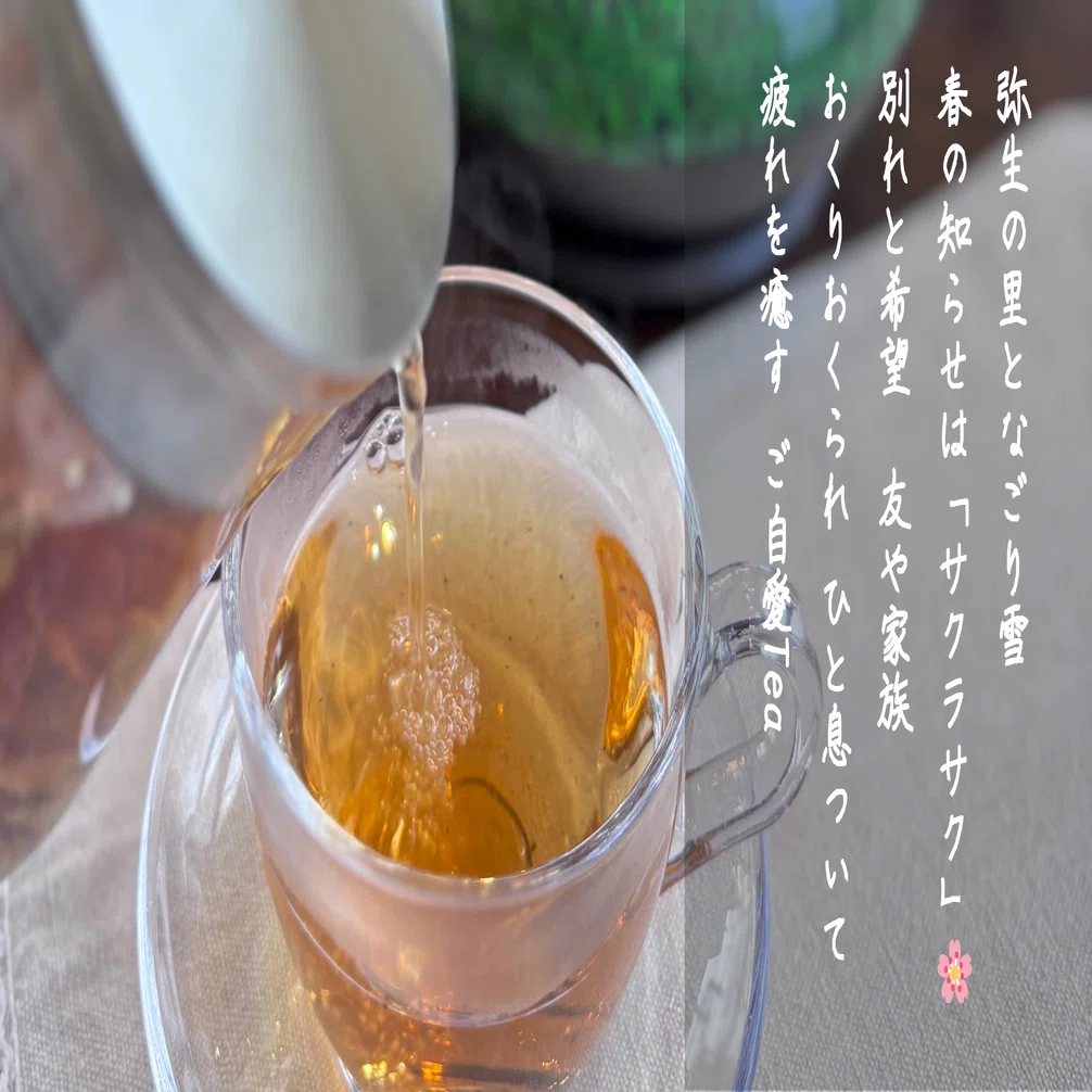 Herbal Tea Room】3月のハーブティーのおしらせ｜HOUSE SHIZUKUISHI