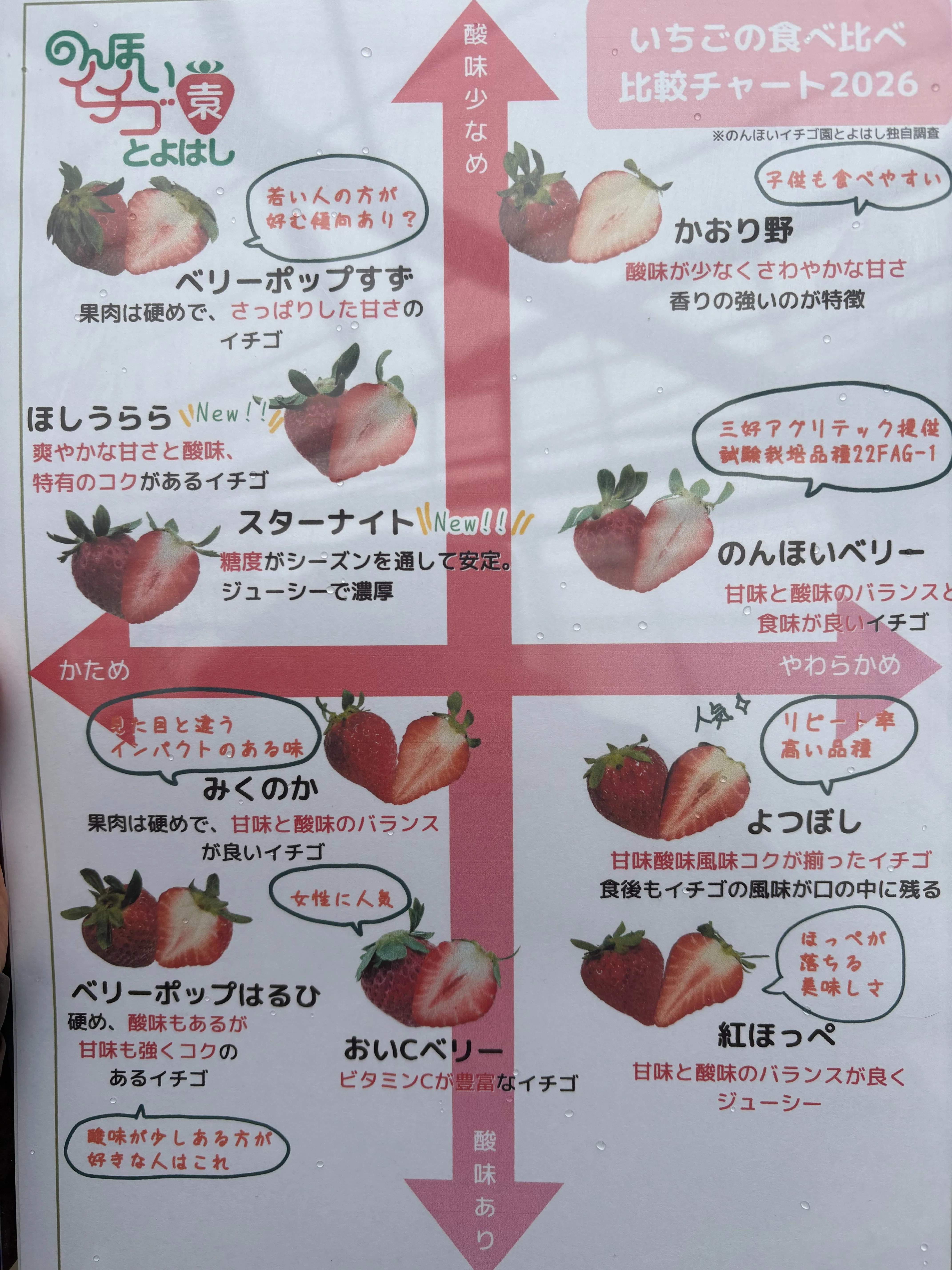 食育」を追求したら、いちごがお餅になった話。｜つばき🌺@暮らしを