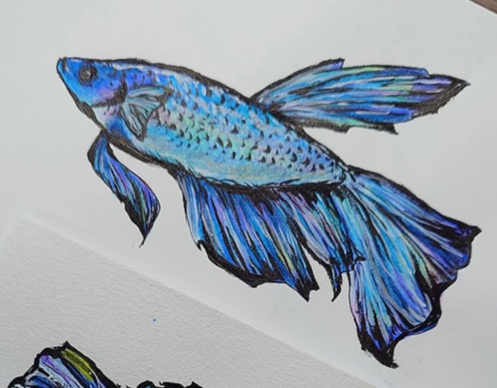 1日1枚 水彩画】こうなりました｜Misaki Moegi