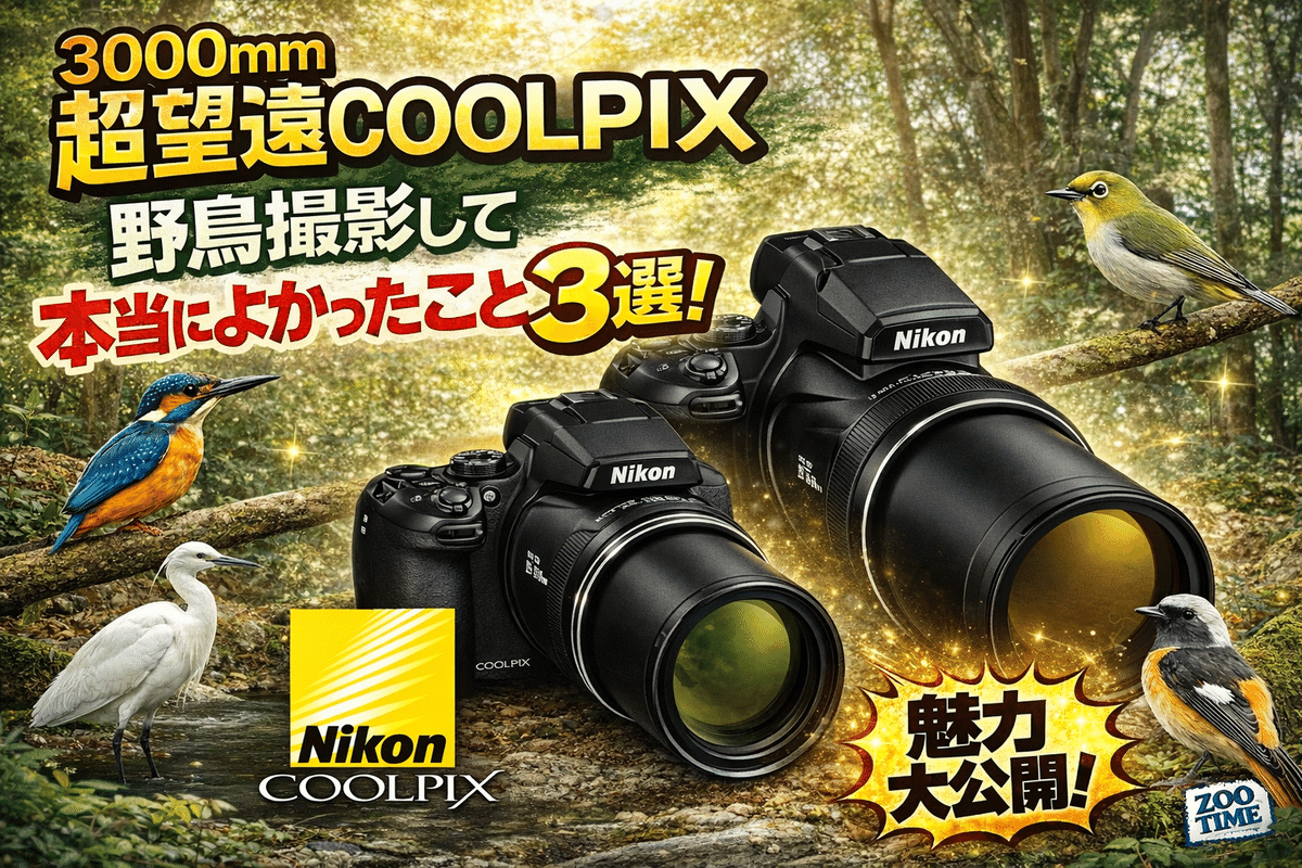 超望遠COOLPIX（P900、P950、P1000、P1100）で野鳥撮影をして本当に