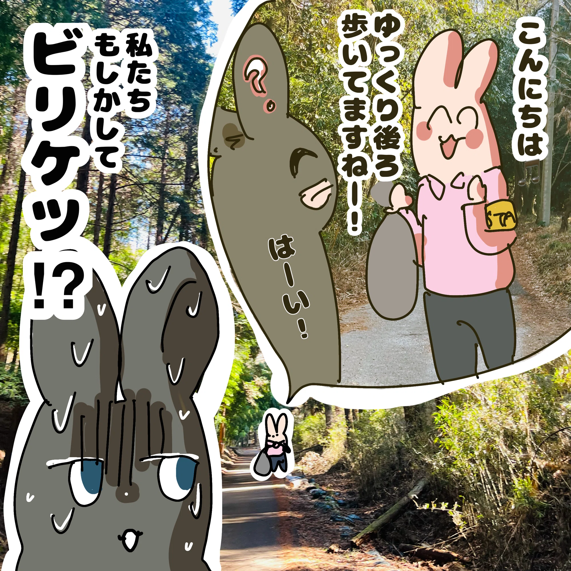 9km歩いてマザー牧場まで行った話｜たま