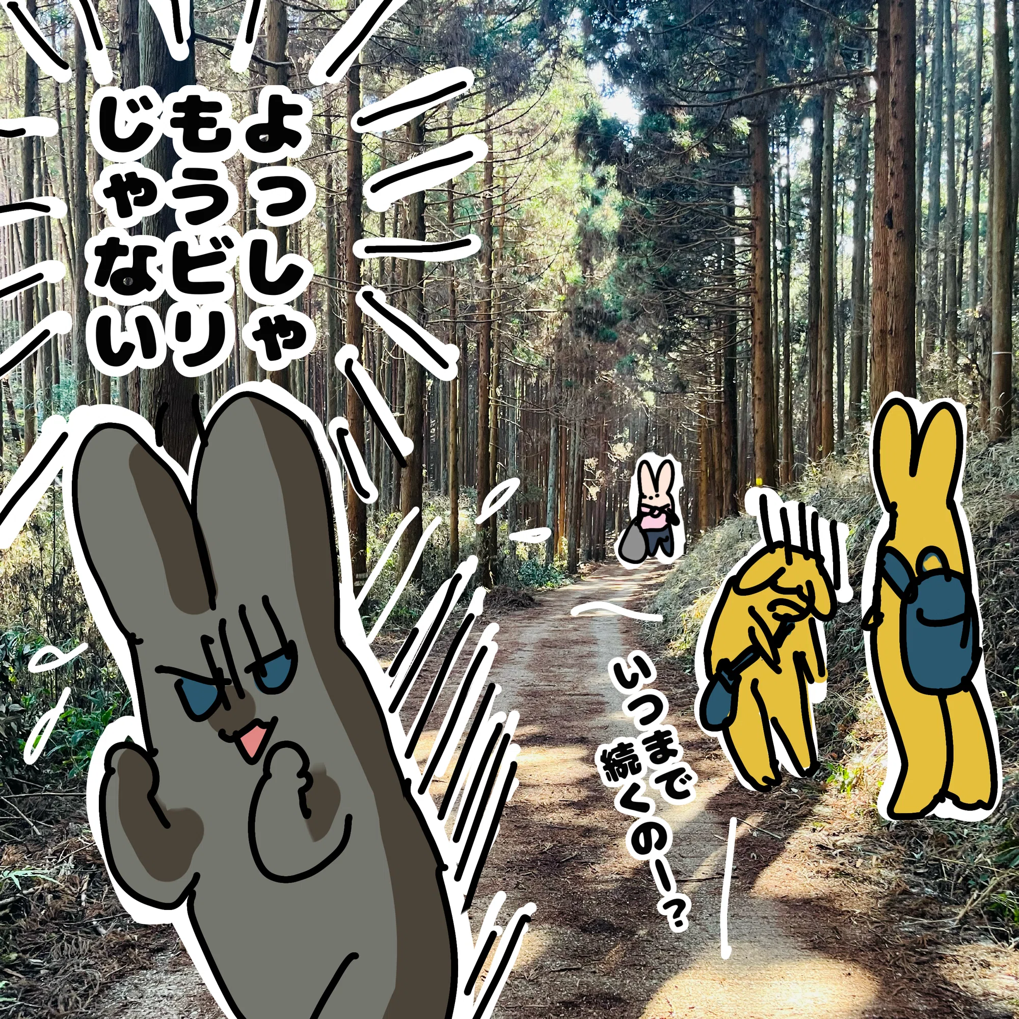 9km歩いてマザー牧場まで行った話｜たま