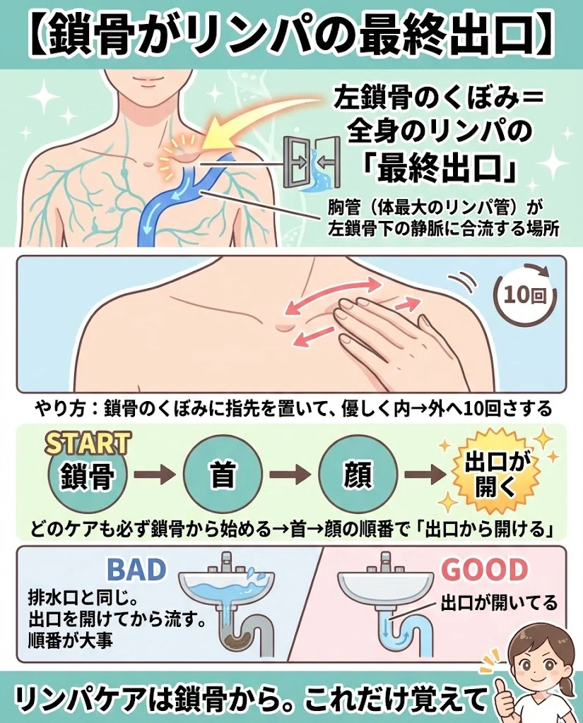 リンパ マッサージ 免疫 むくみ デトックス 健康 体
