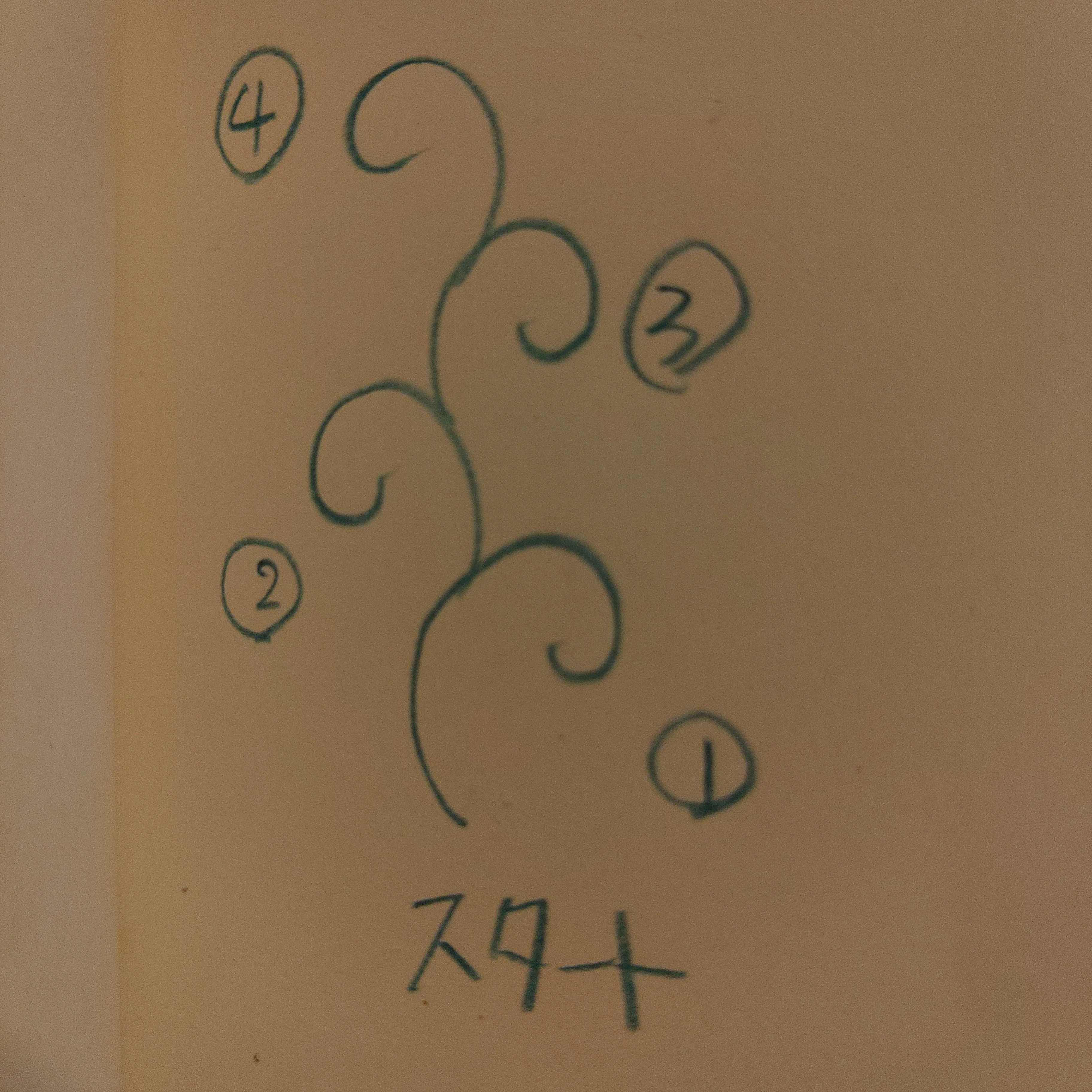 唐草模様の描き方｜ウミタマ