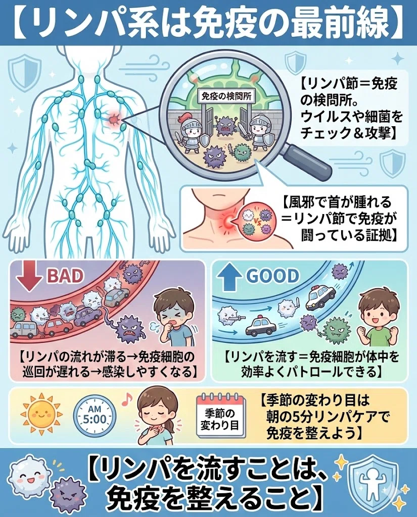 リンパ マッサージ 免疫 むくみ デトックス 健康 体