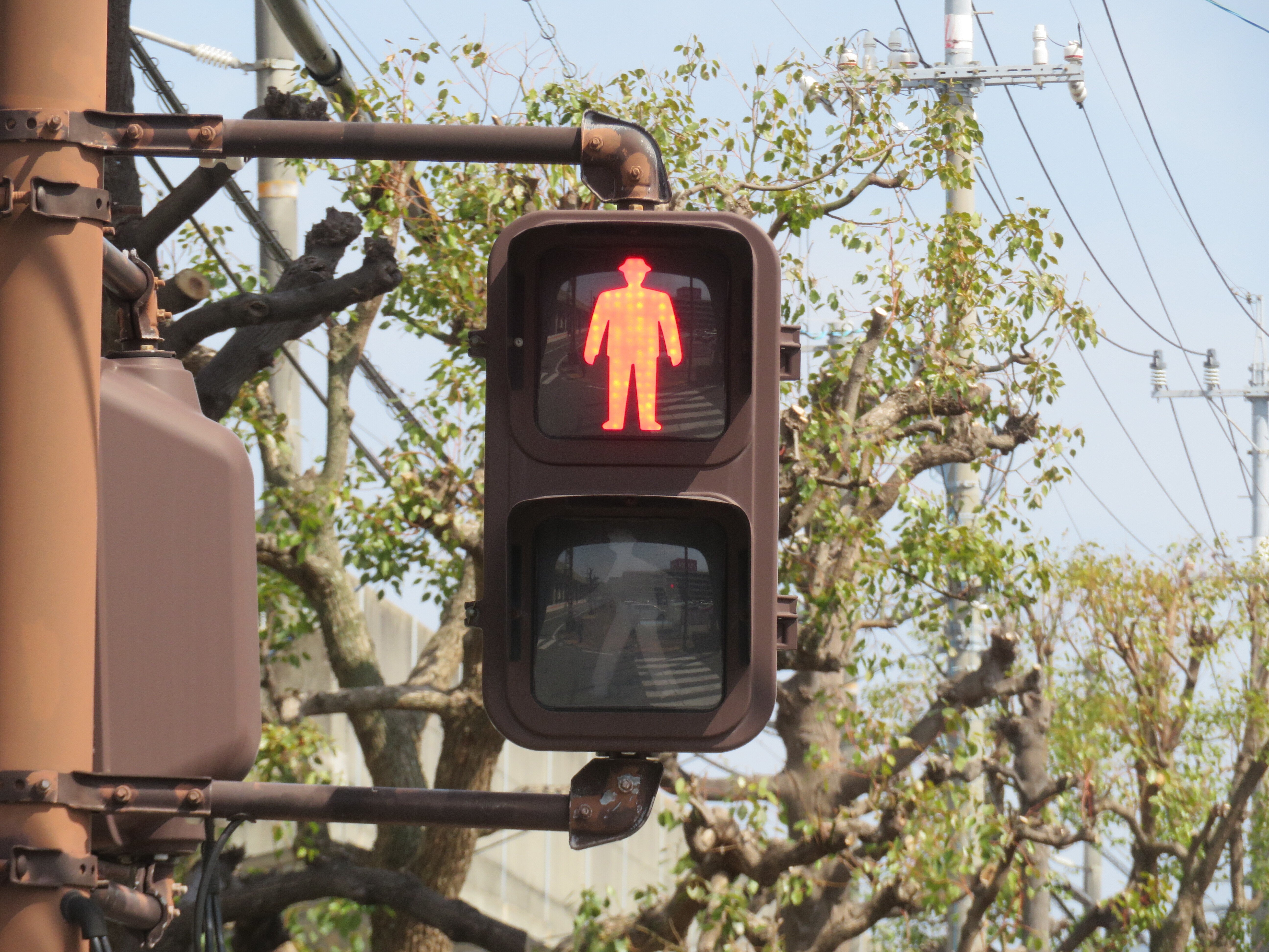 11197】ルルサス南側【山口県の信号機】｜るーと