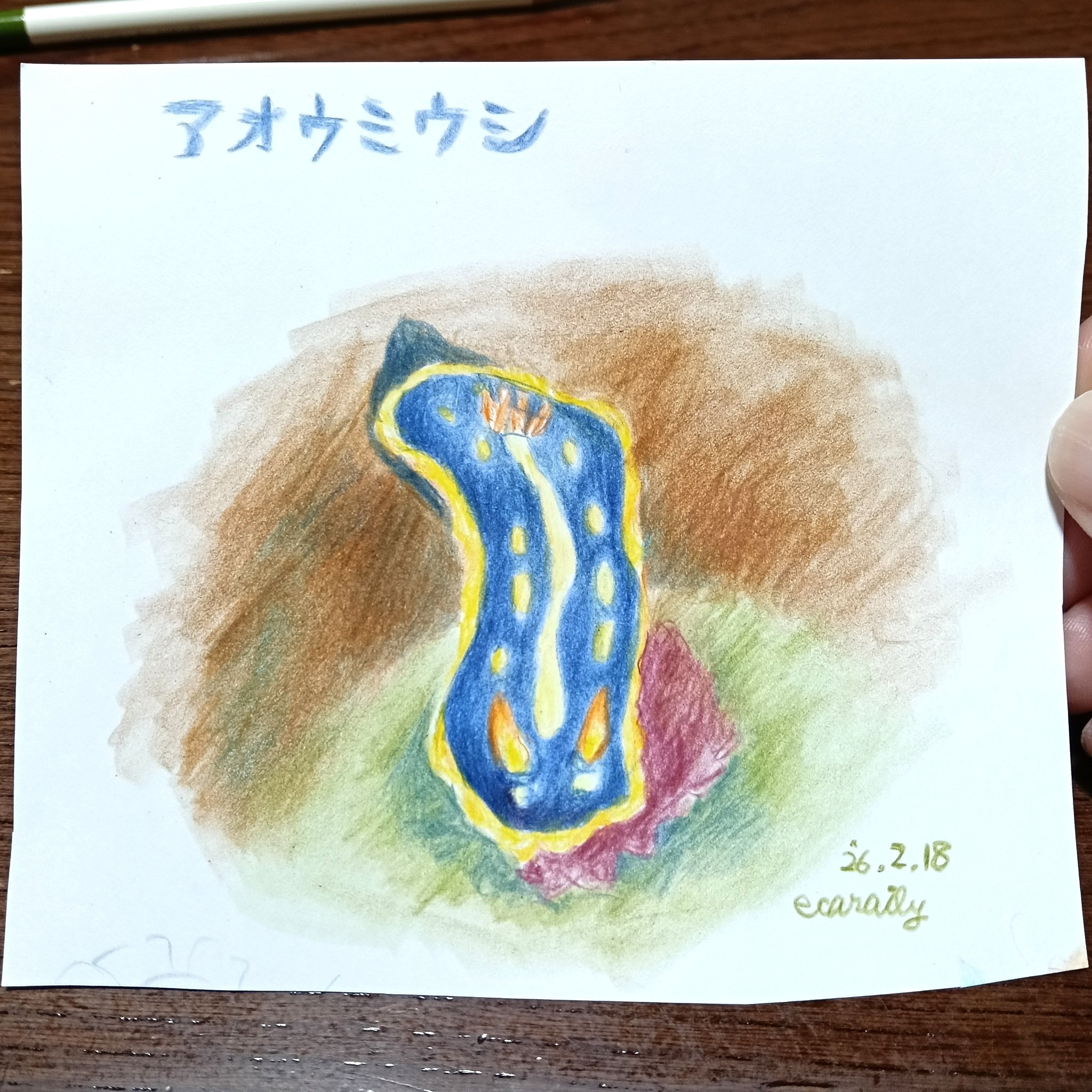 色鉛筆画0218｜エカレエリ@詩-絵-自主制作