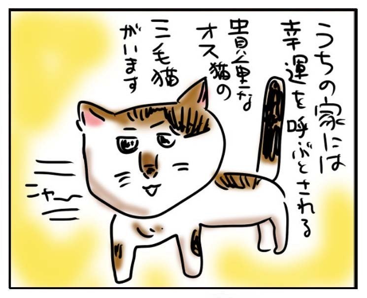開運4コマ漫画 no.38】 我が家のにゃんこ紹介。にゃんとうちの子は