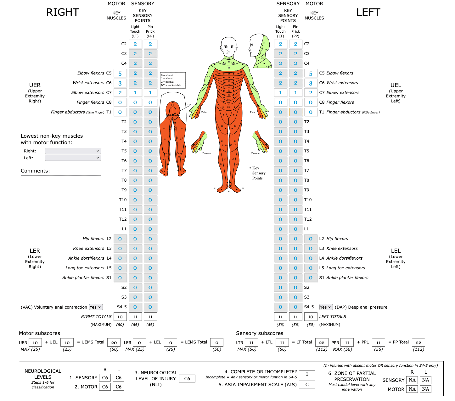 第61回理学療法士国家試験対策：直前訂正ASIA神経学的損傷レベルの決定