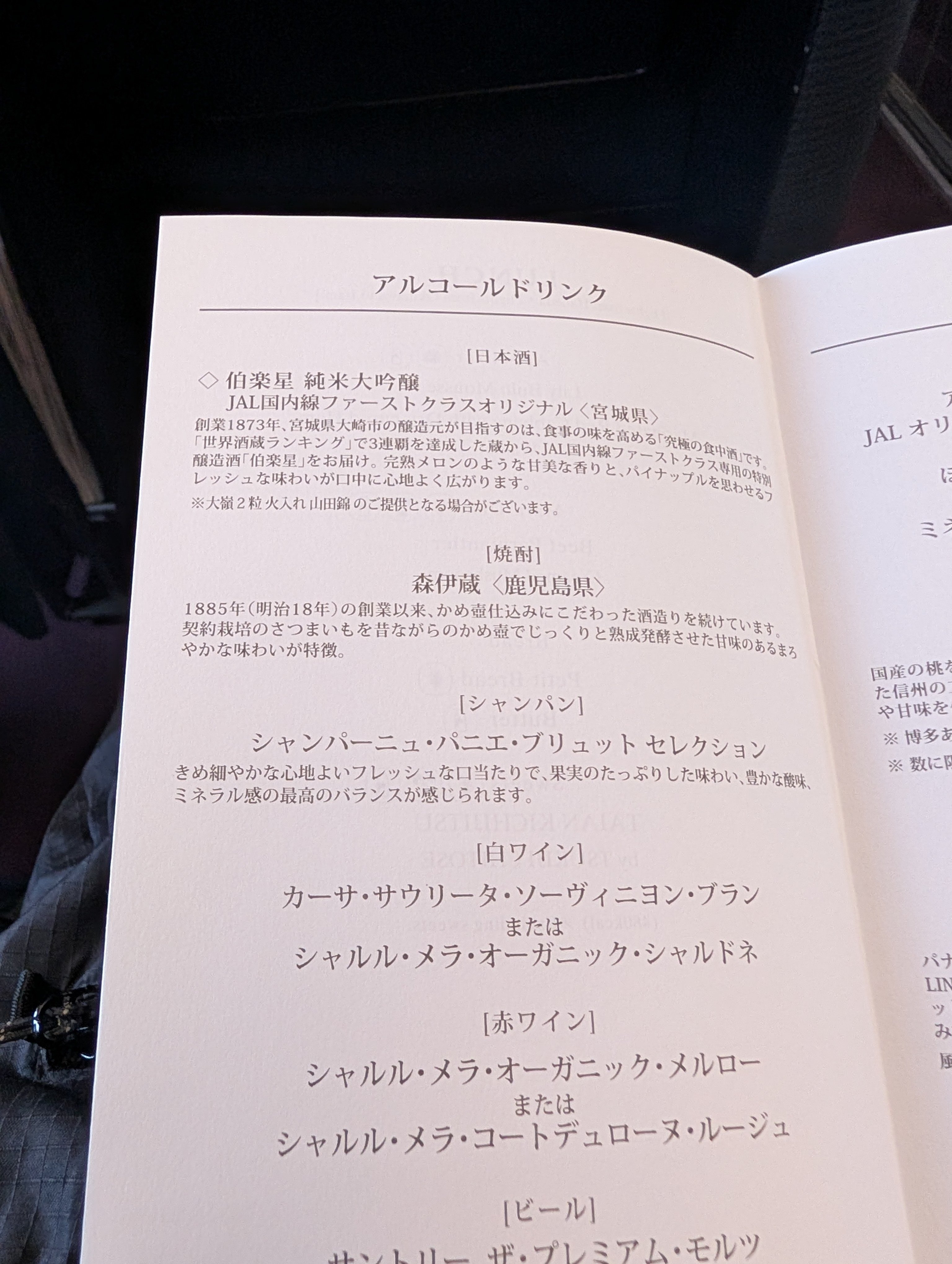 JAL国内線ファーストクラス搭乗と「私の失敗」／2026年｜菅野ノリヒコ