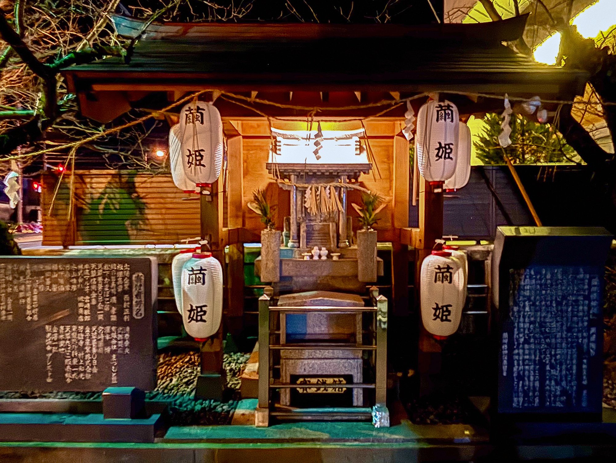 天草は、日本の肝臓だった── 繭姫通り おんなの夜祭りが生まれるまで