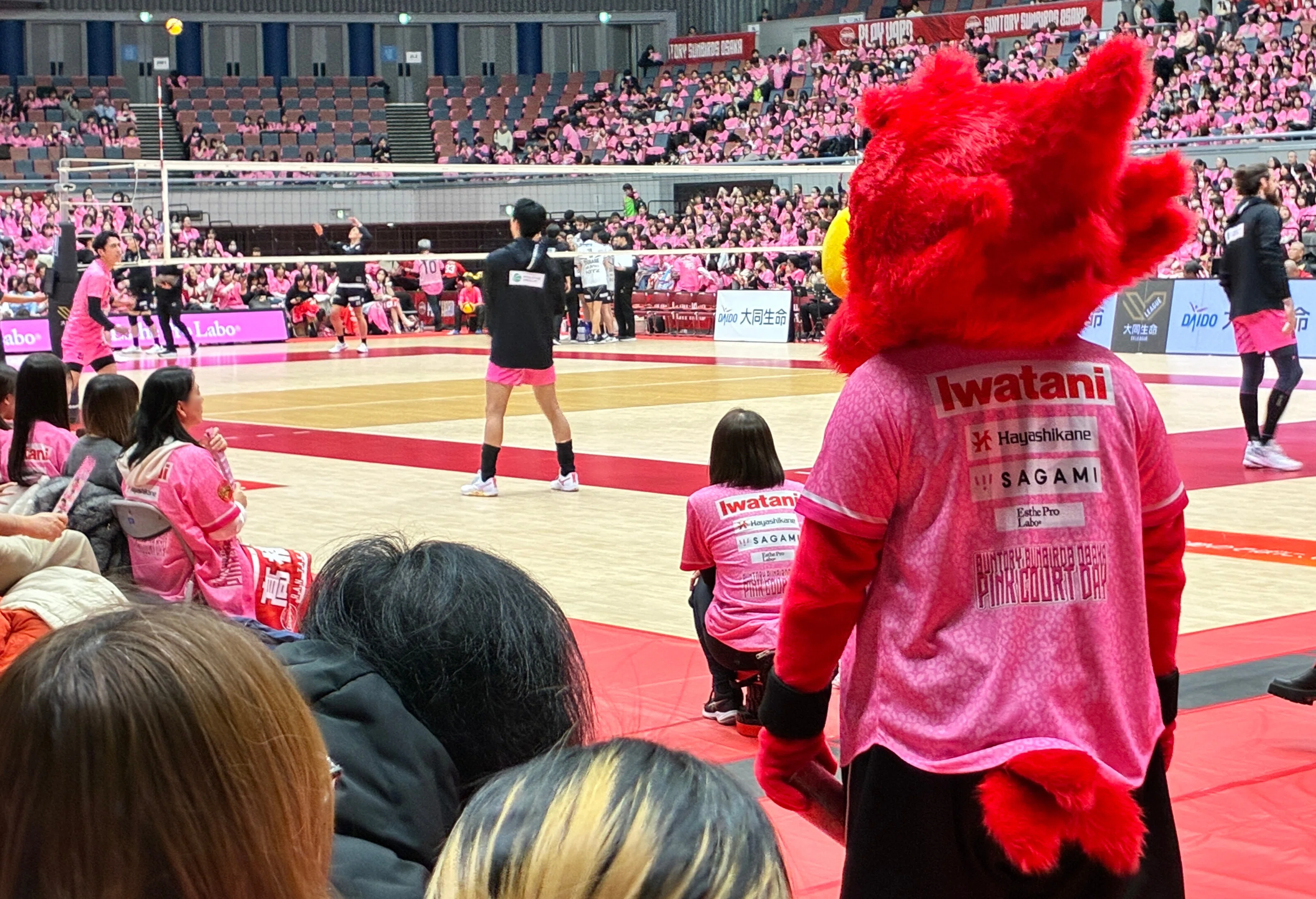 1万人がピンクに染まった2日間。サントリーサンバーズ大阪 