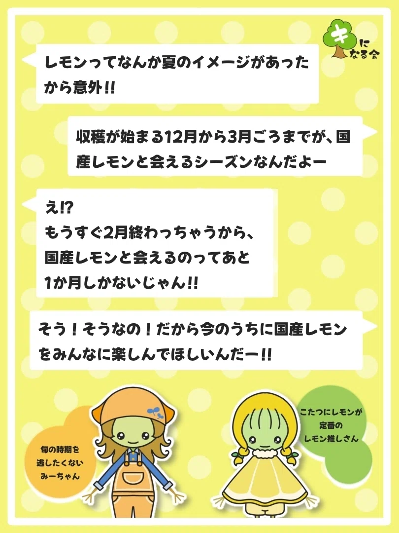 レモンの旬っていつ？」レモン推しさんとキになる会！｜わたあめちゃんち